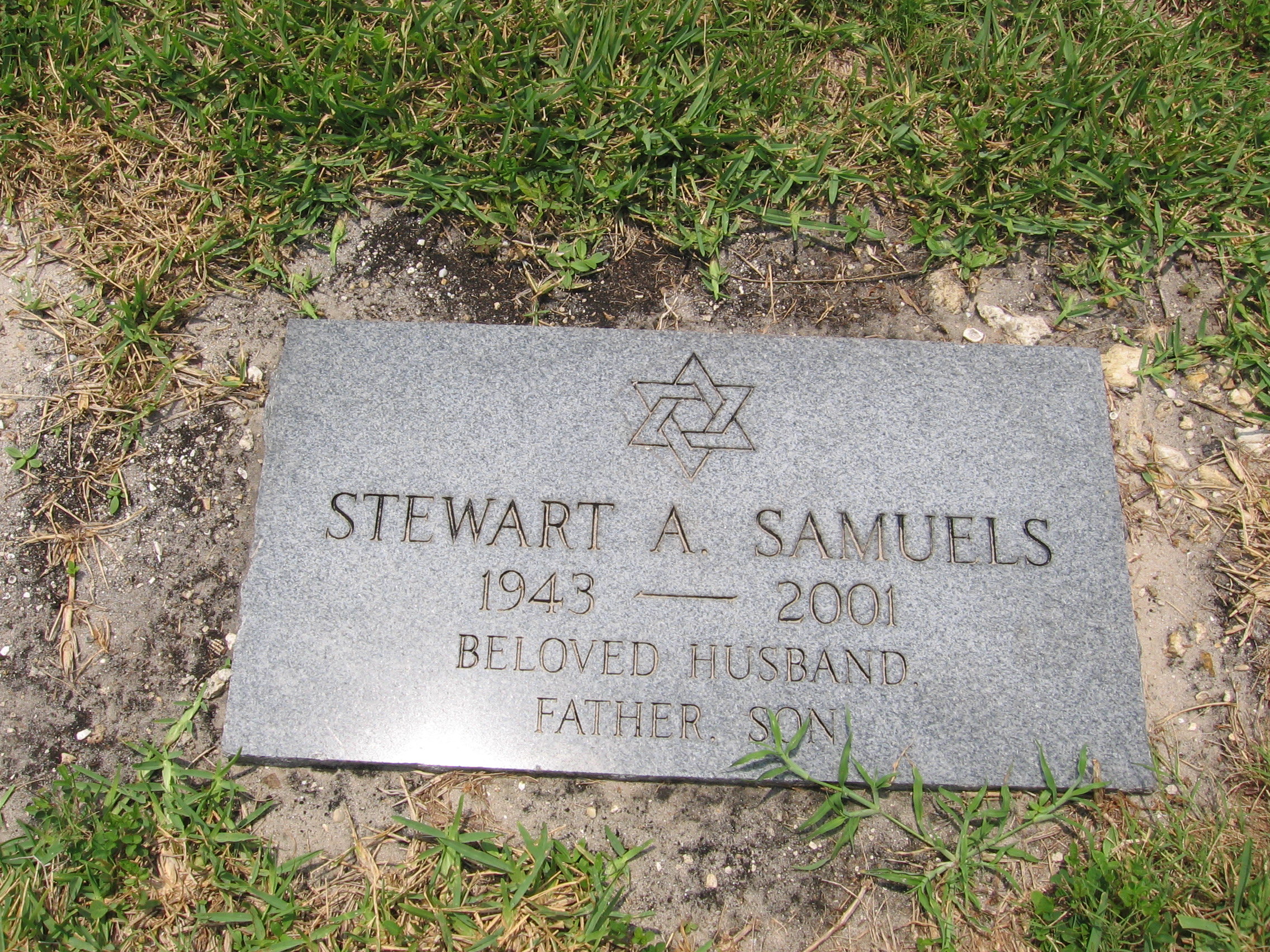 Stewart A Samuels