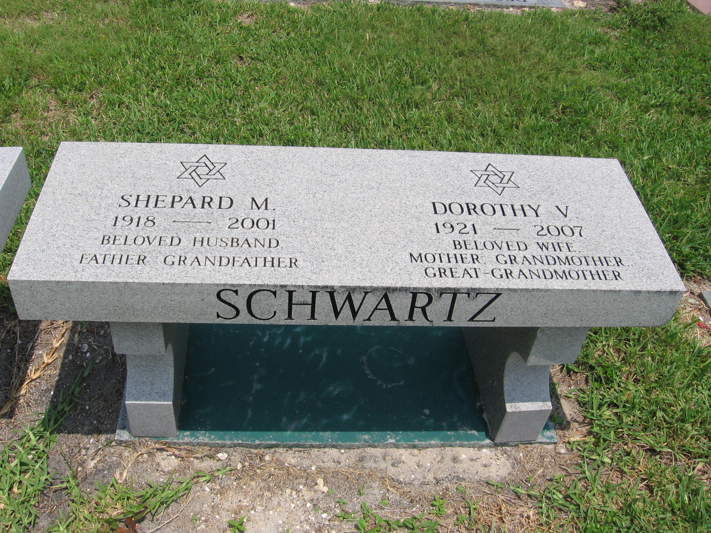 Shepard M Schwartz