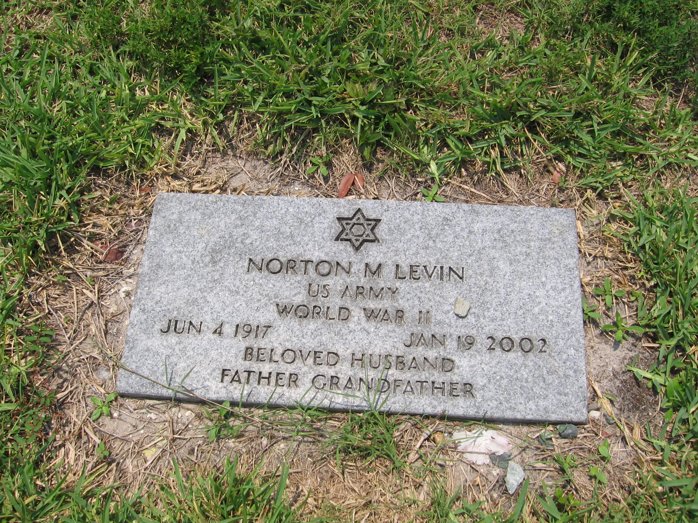 Norton M Levin