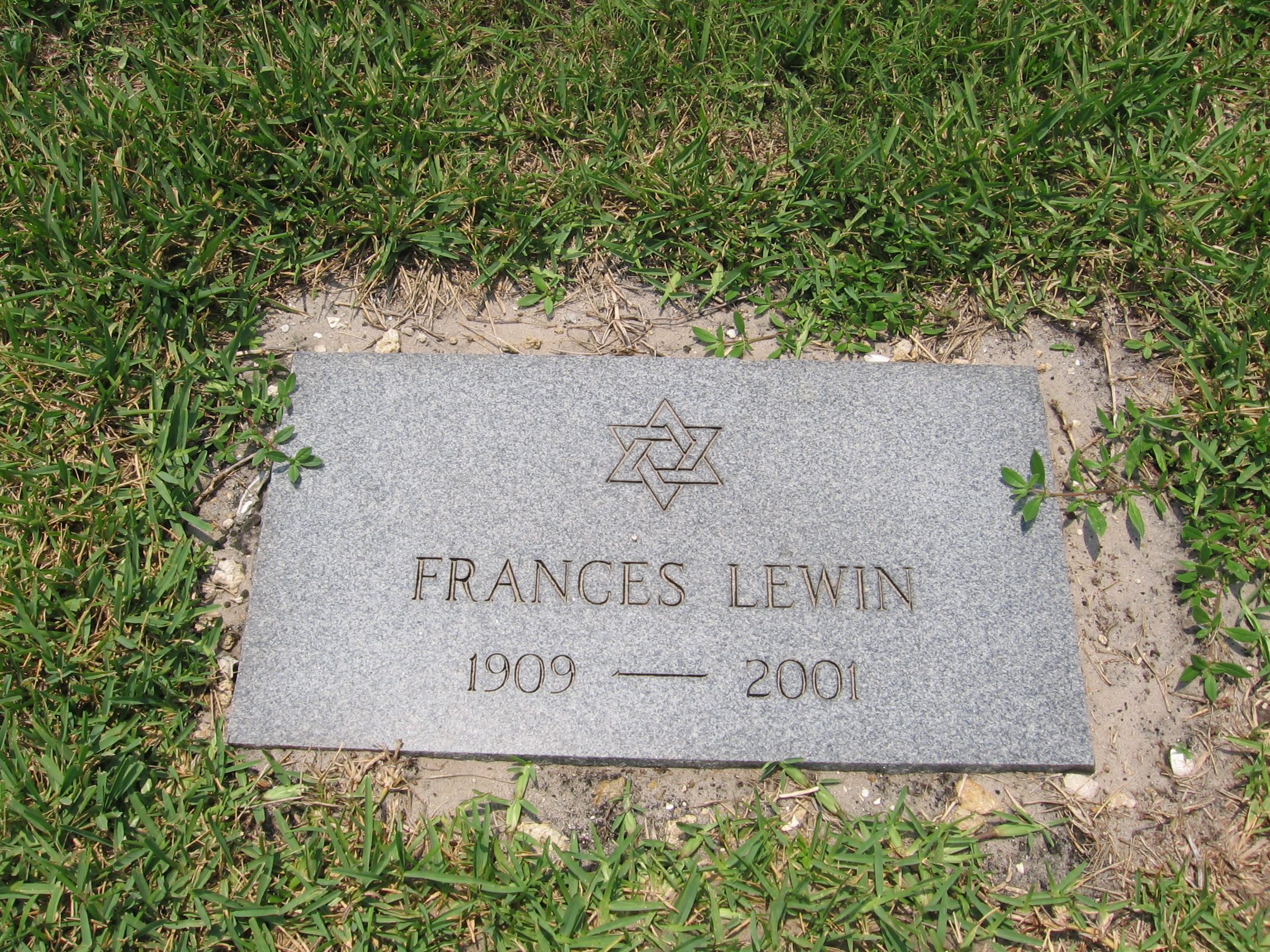 Frances Lewin