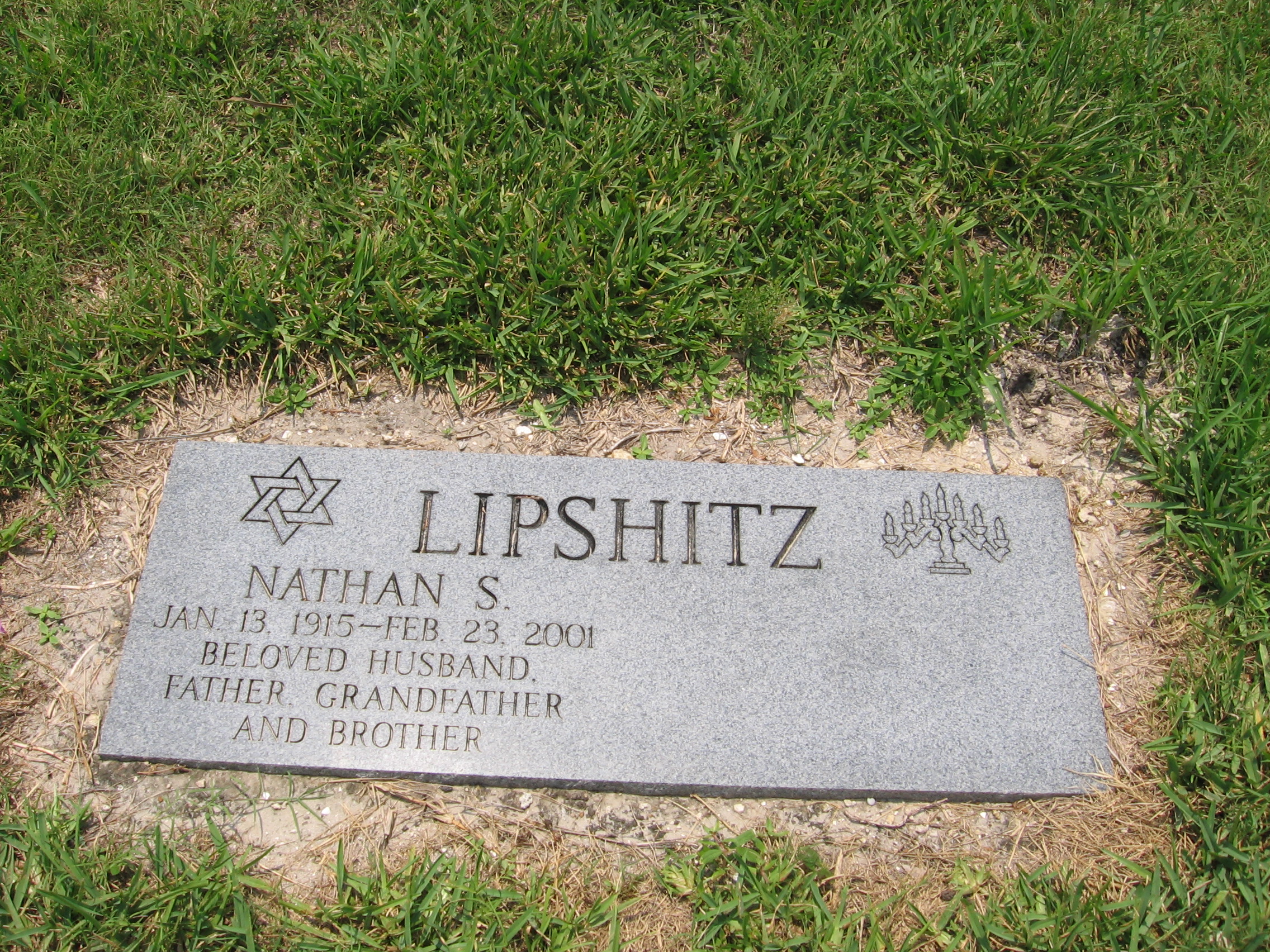 Nathan S Lipshitz