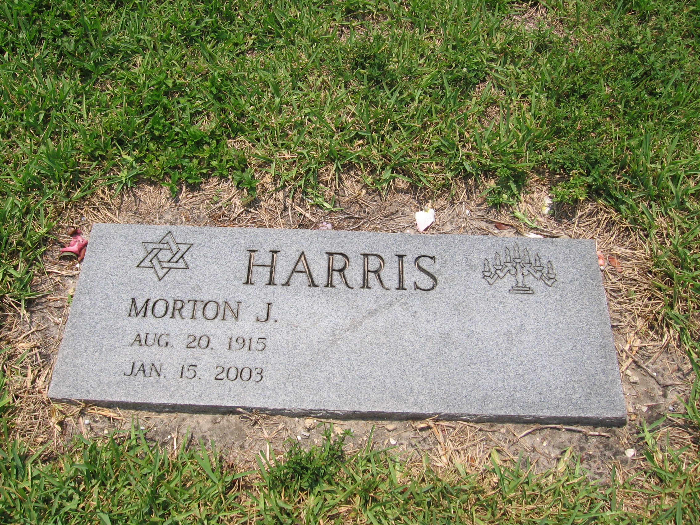 Morton J Harris