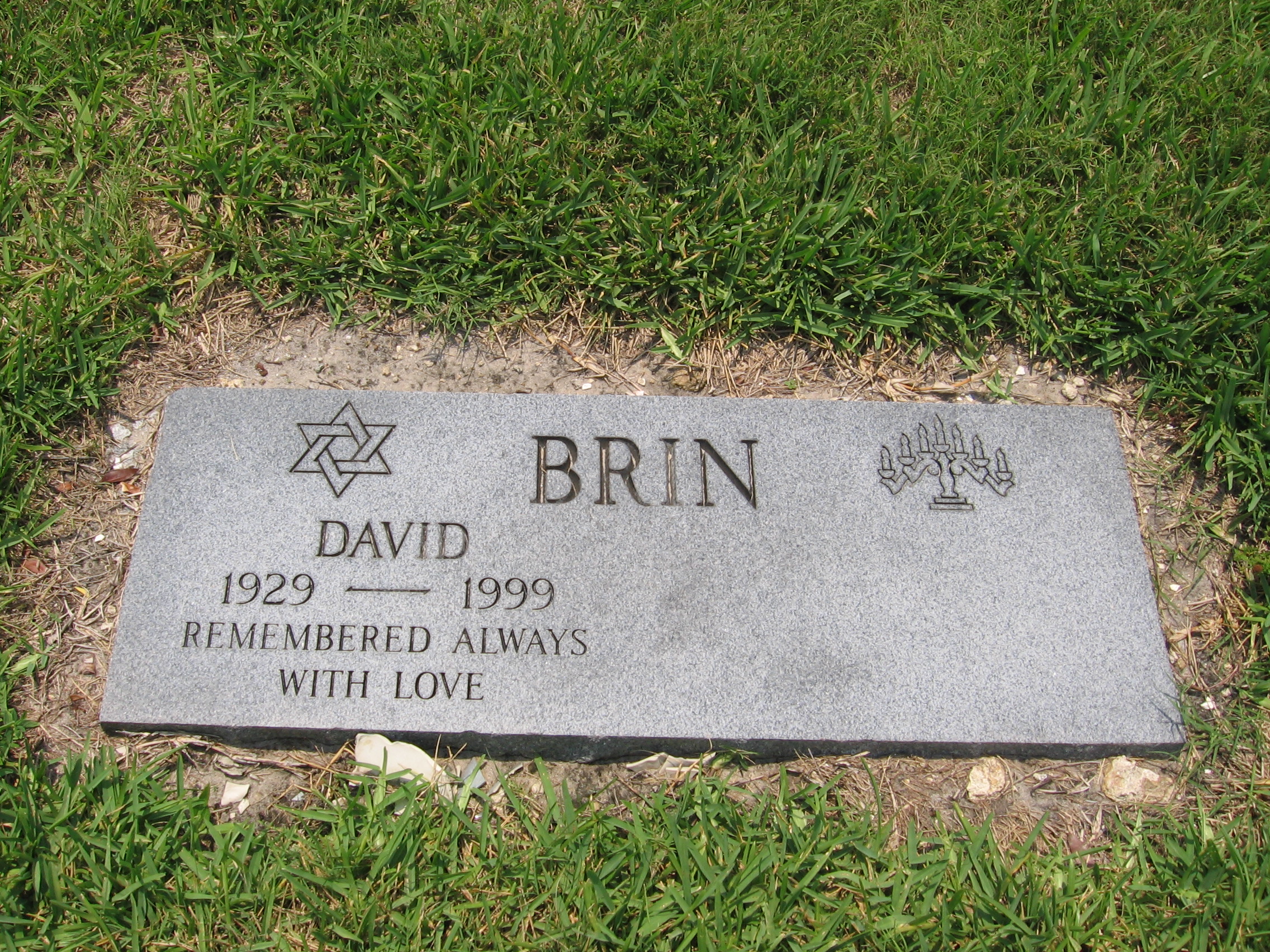 David Brin