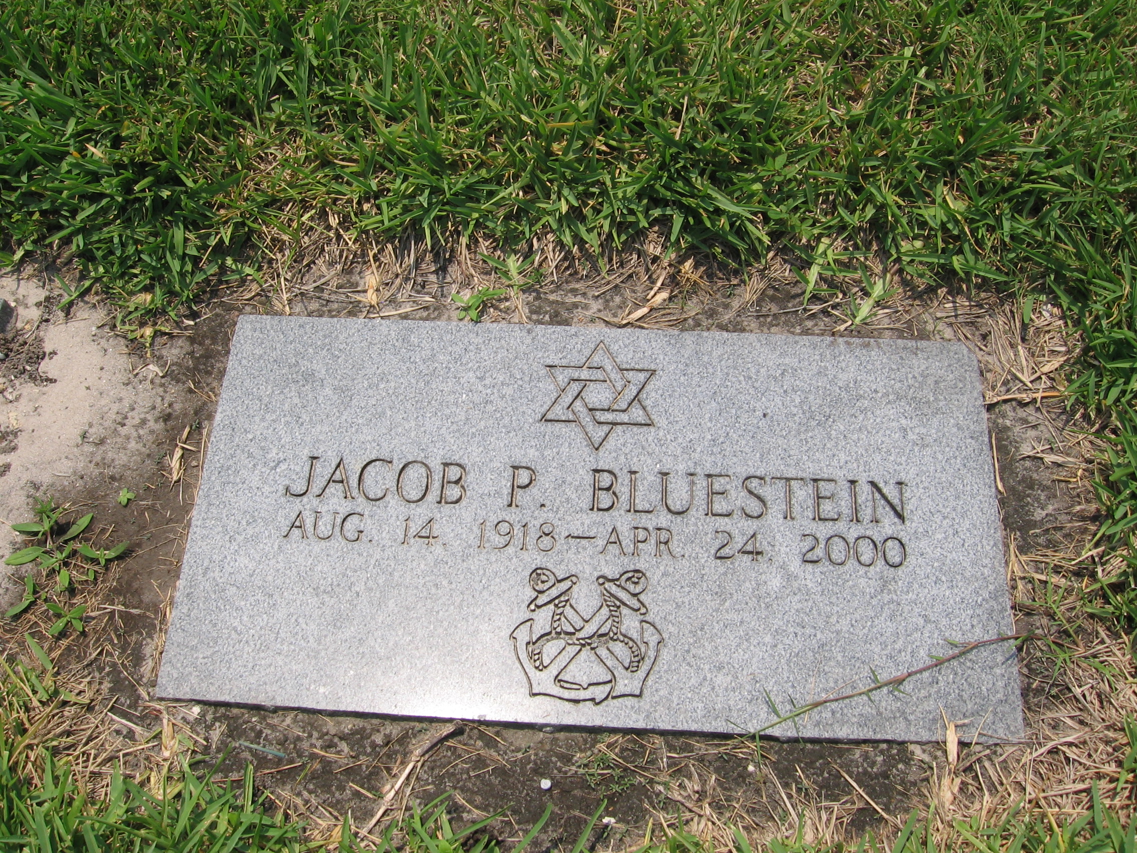 Jacob P Bluestein