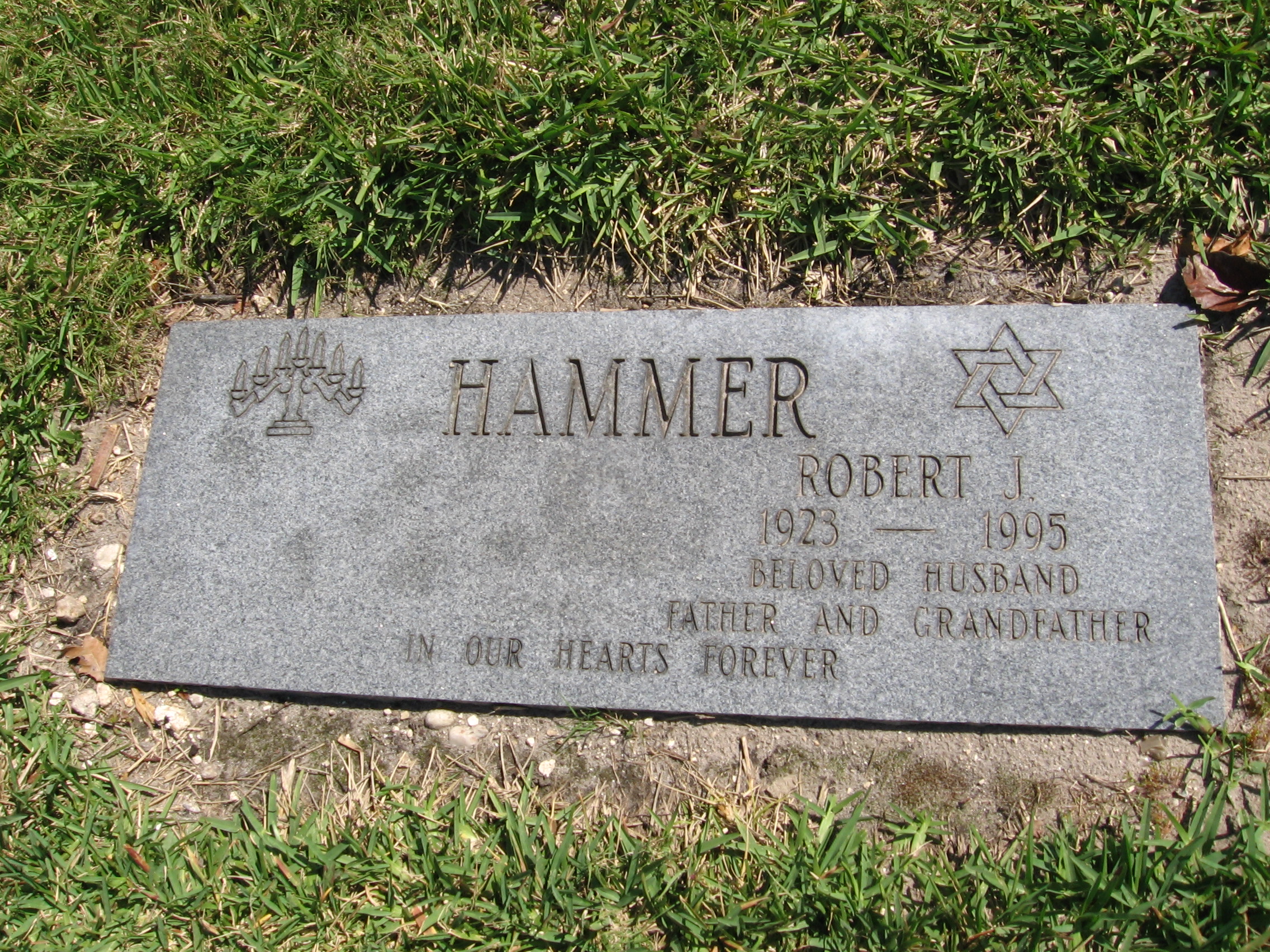 Robert J Hammer