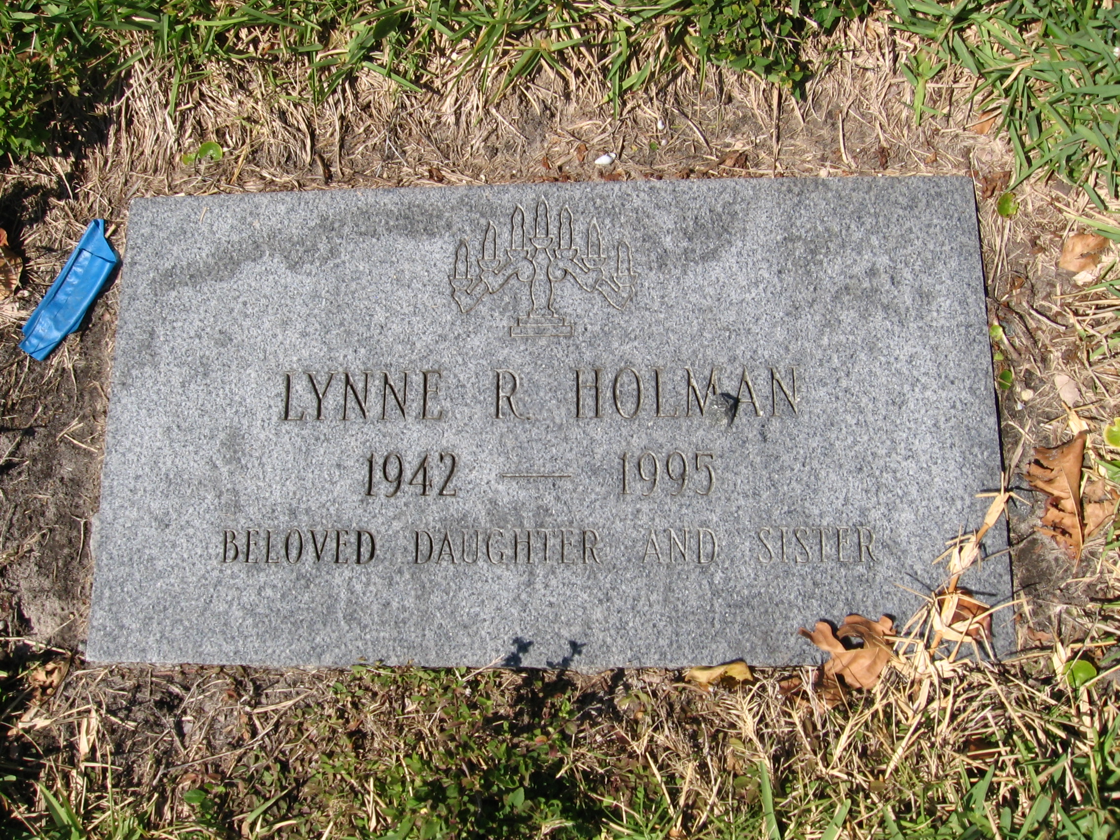 Lynne R Holman