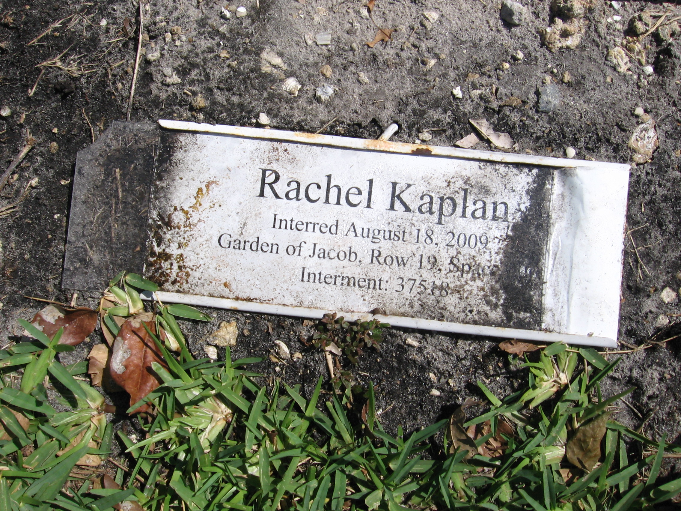 Rachel Kaplan