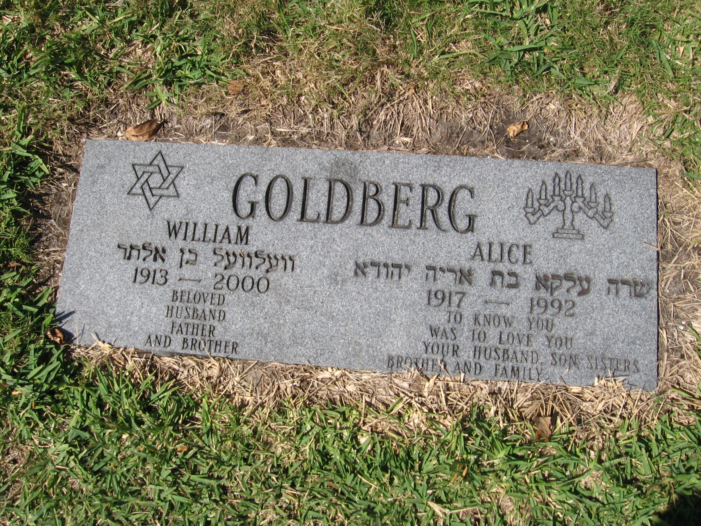 William Goldberg