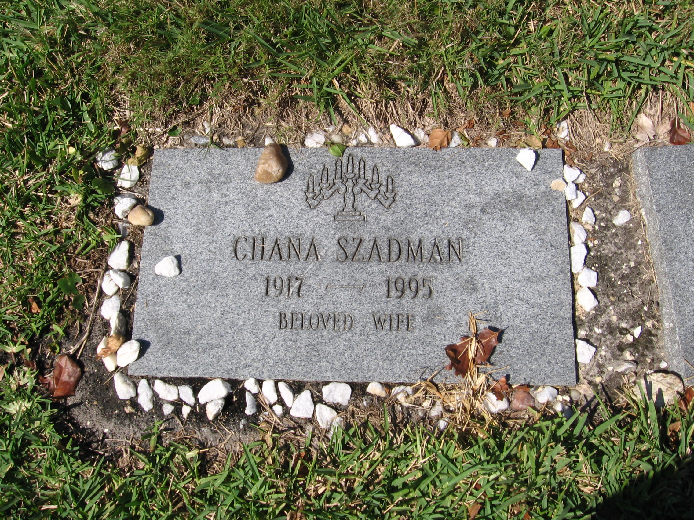 Chana Szadman