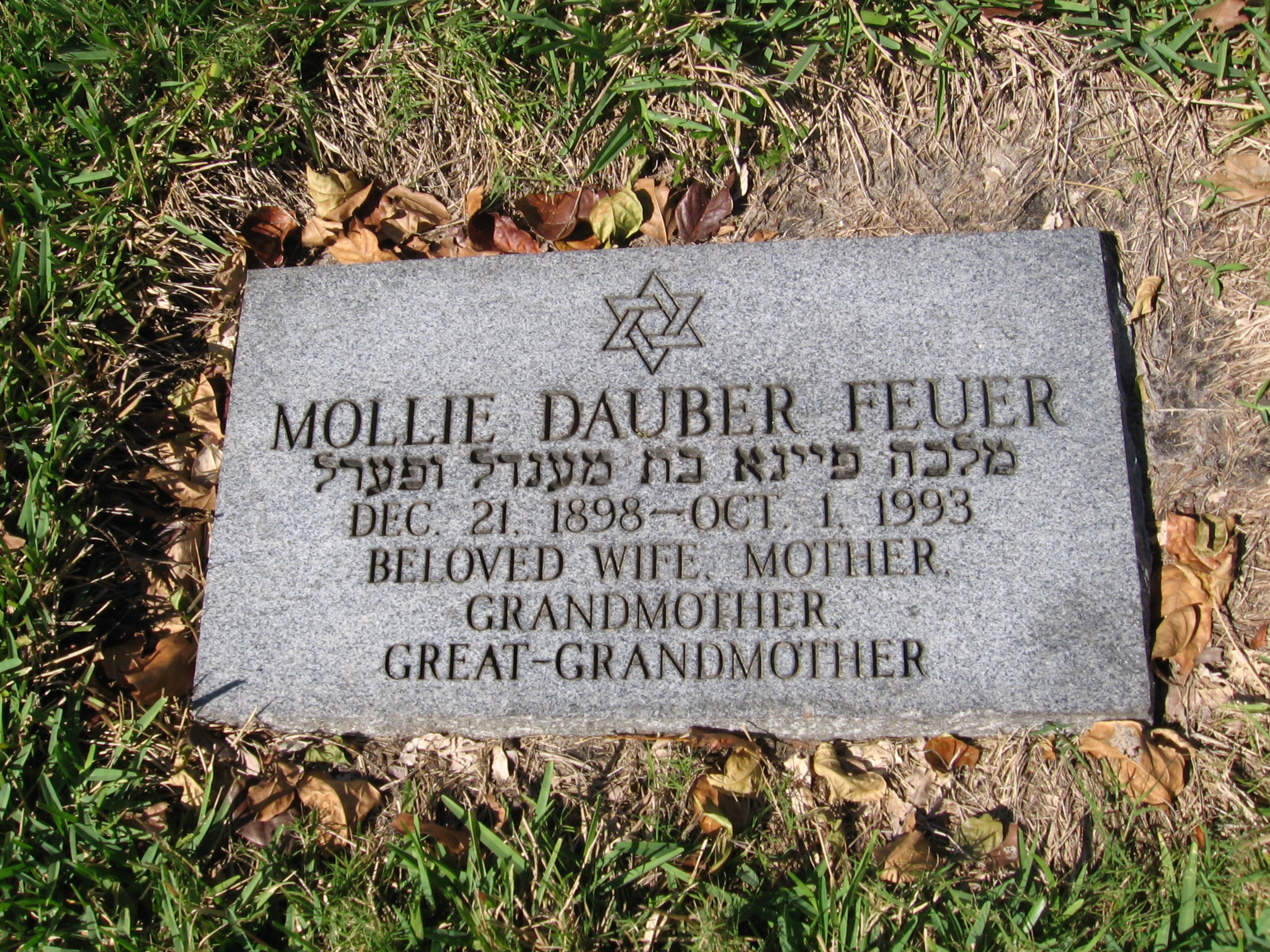 Mollie Dauber Feuer