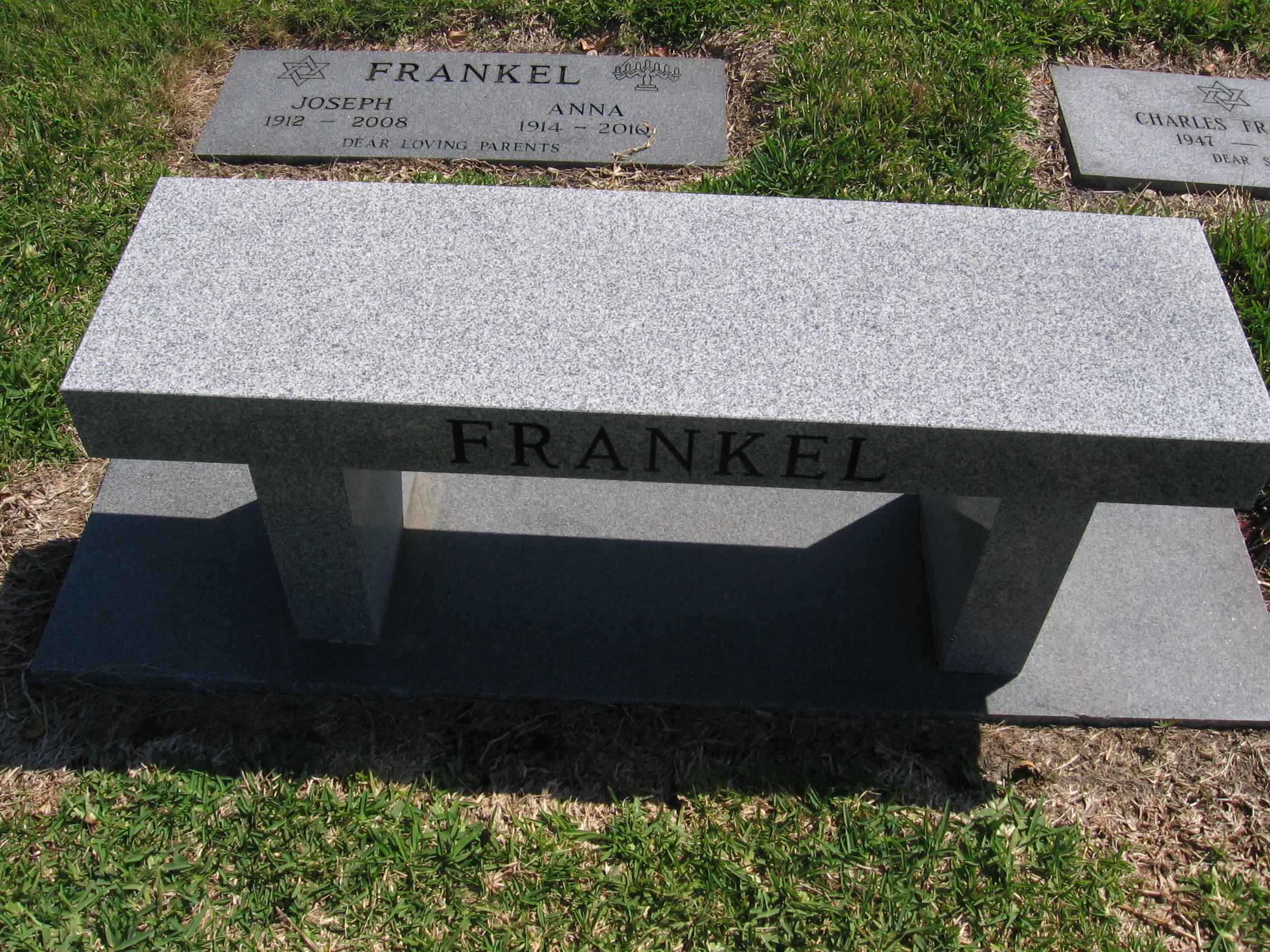 Anna Frankel