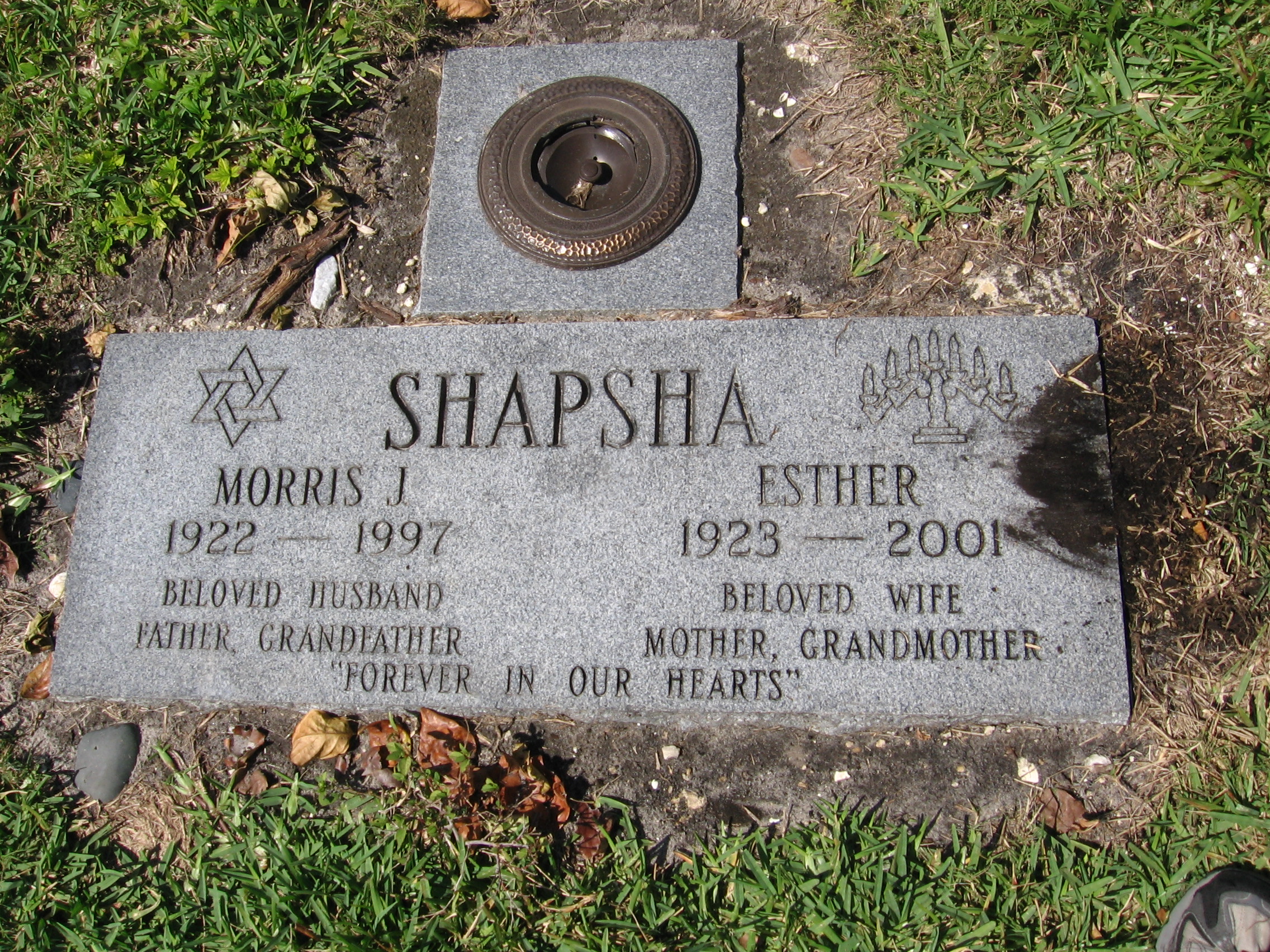 Morris J Shapsha