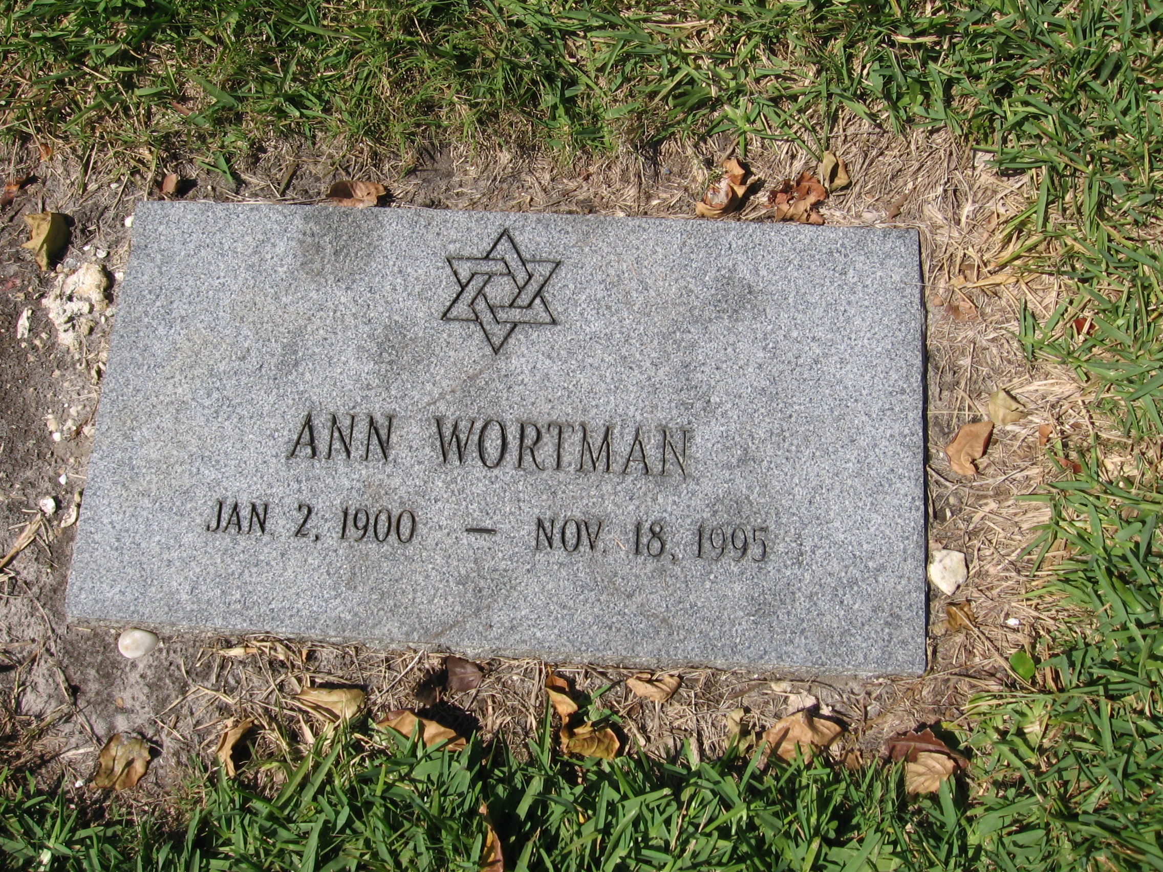 Ann Wortman