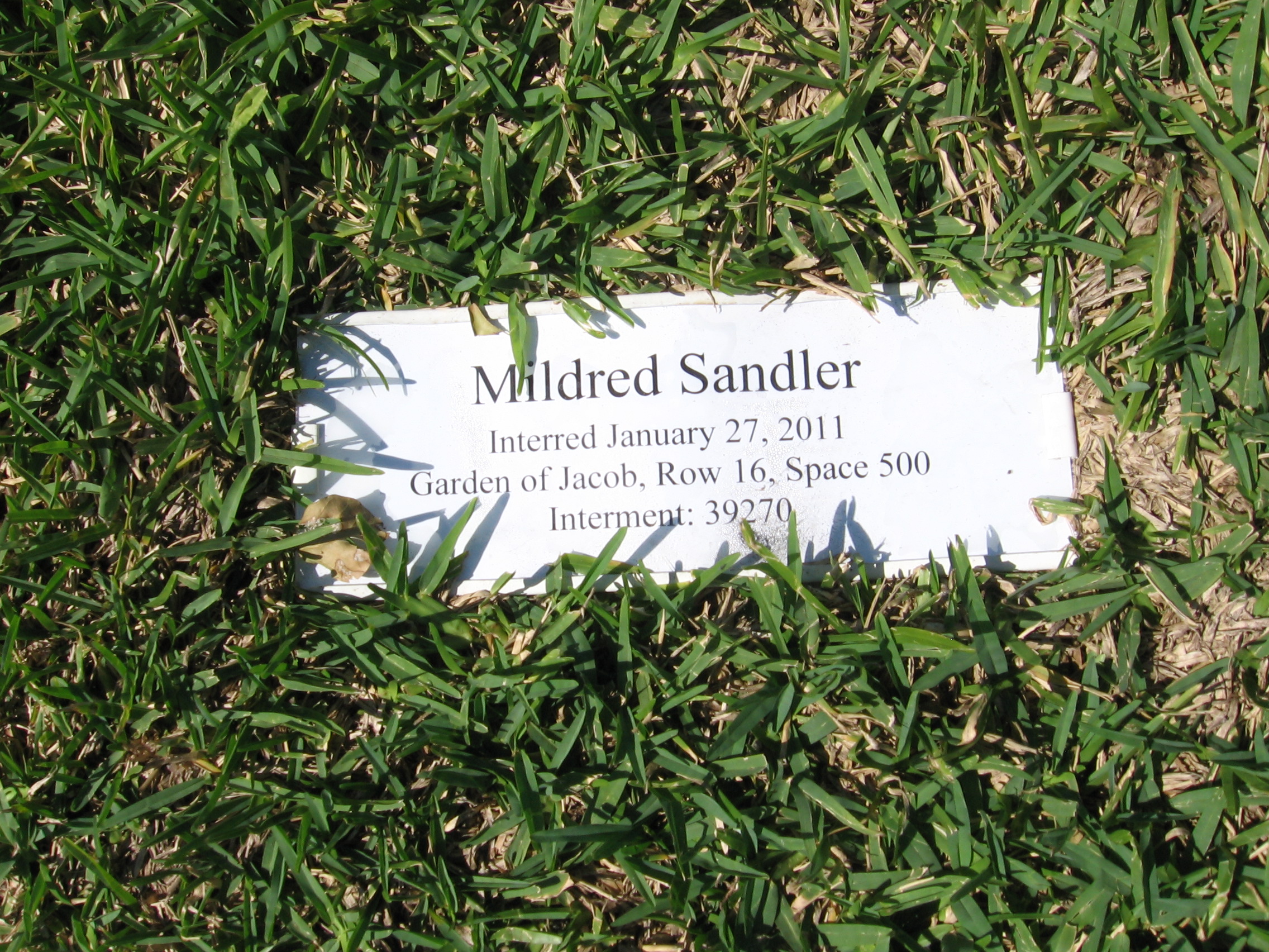 Mildred Sandler