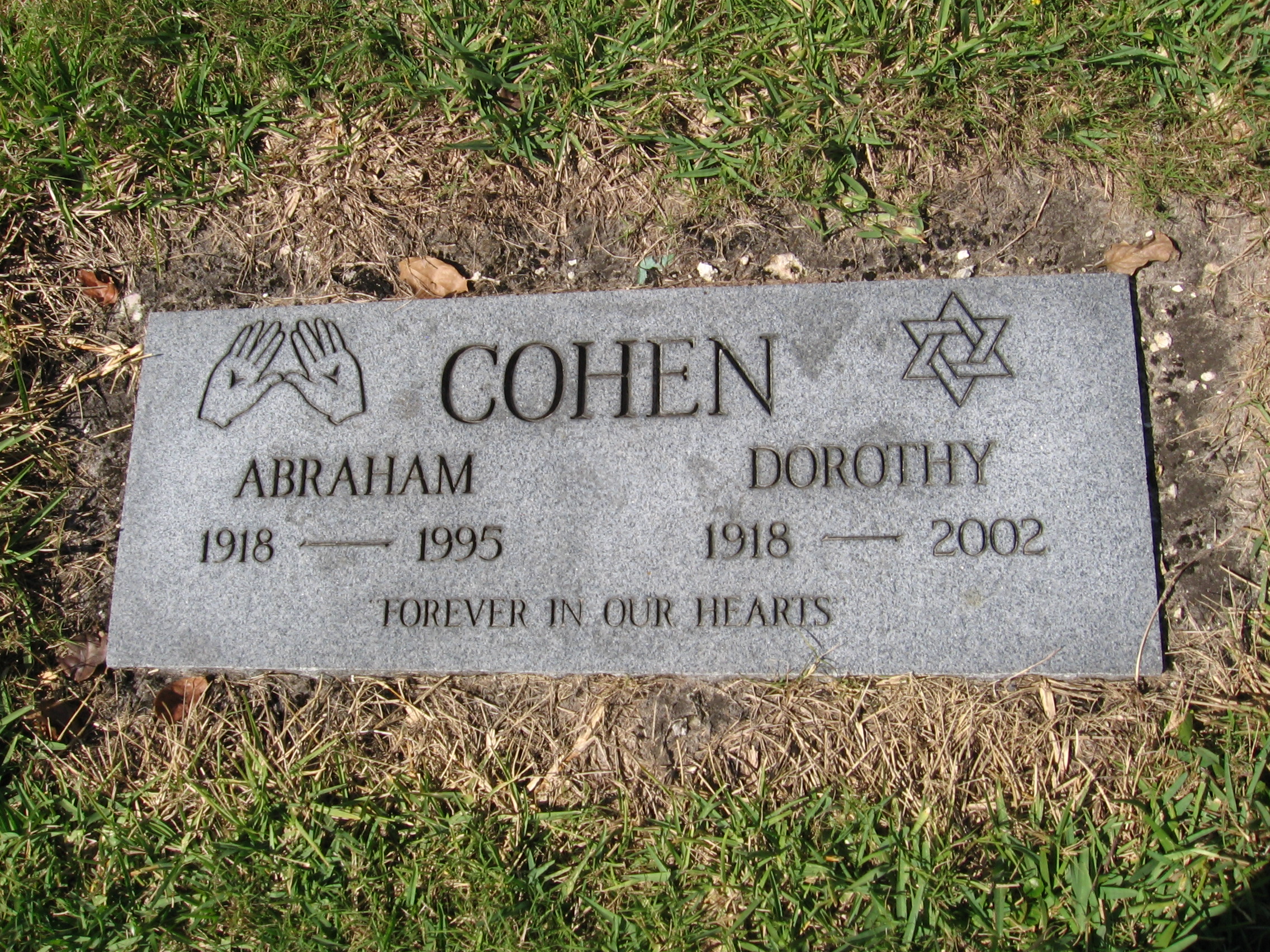 Dorothy Cohen