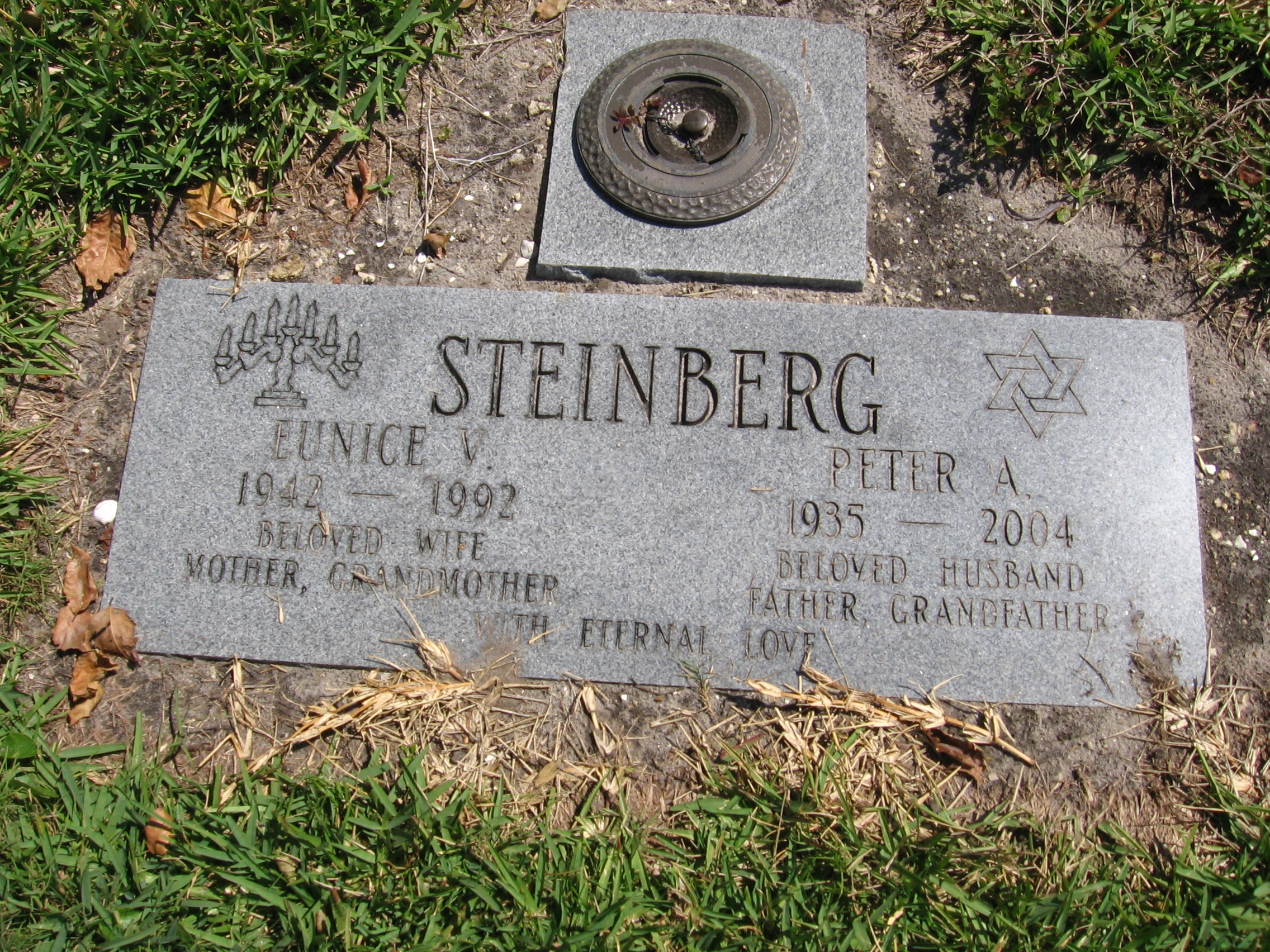 Peter A Steinberg