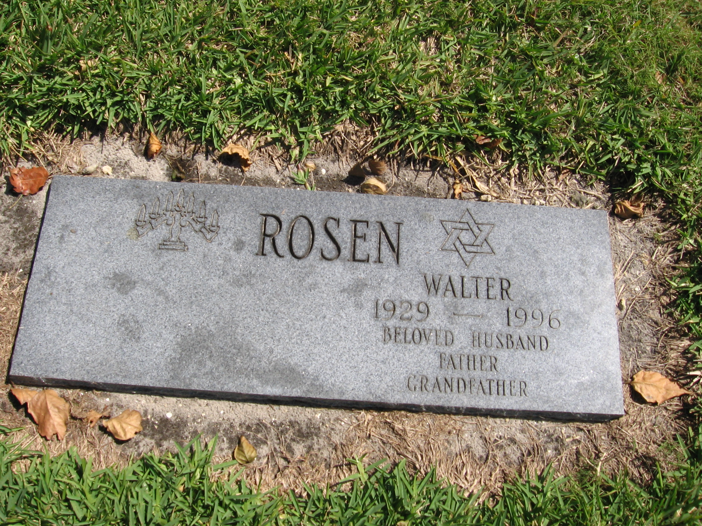 Walter Rosen