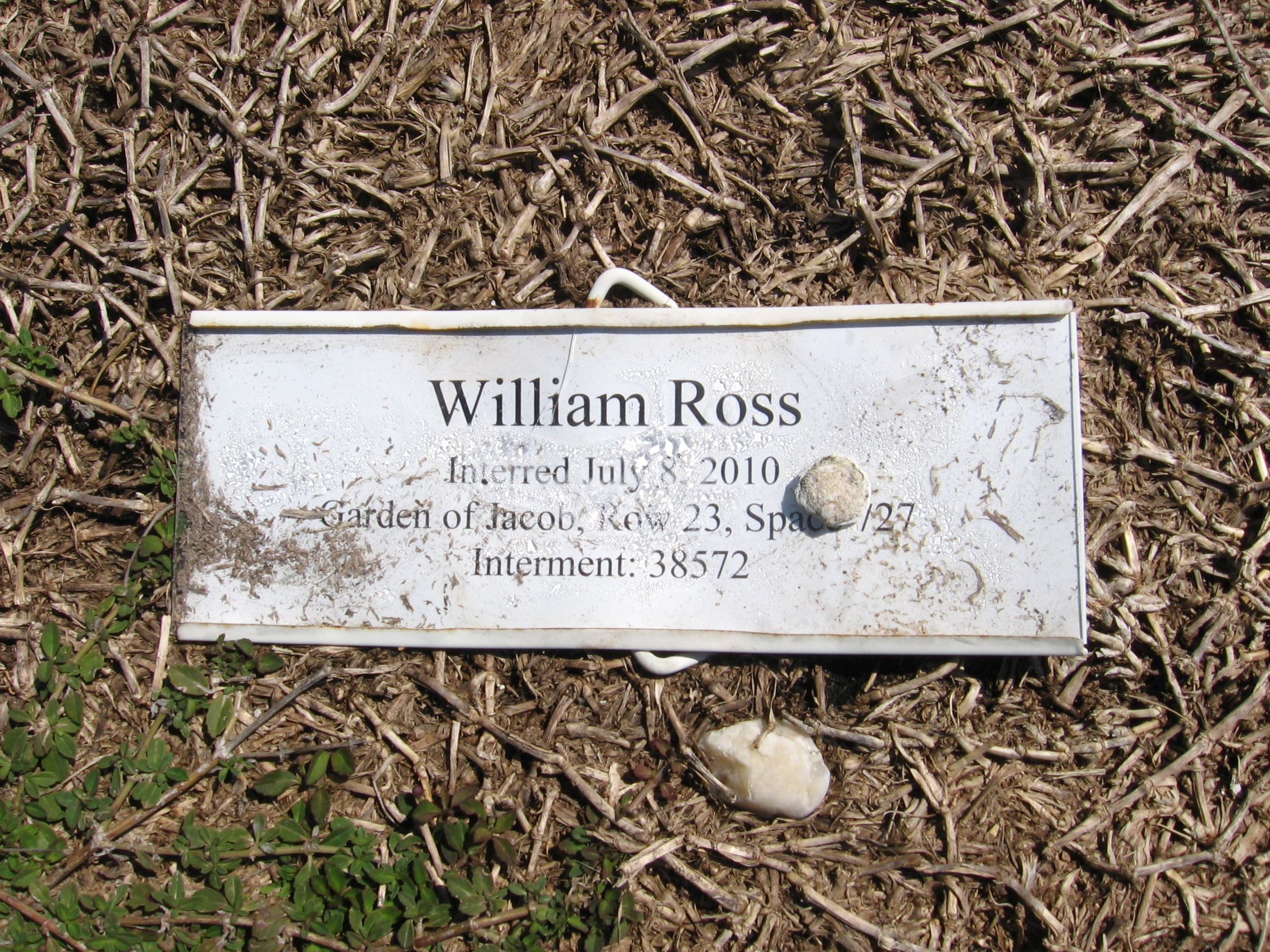 William Ross