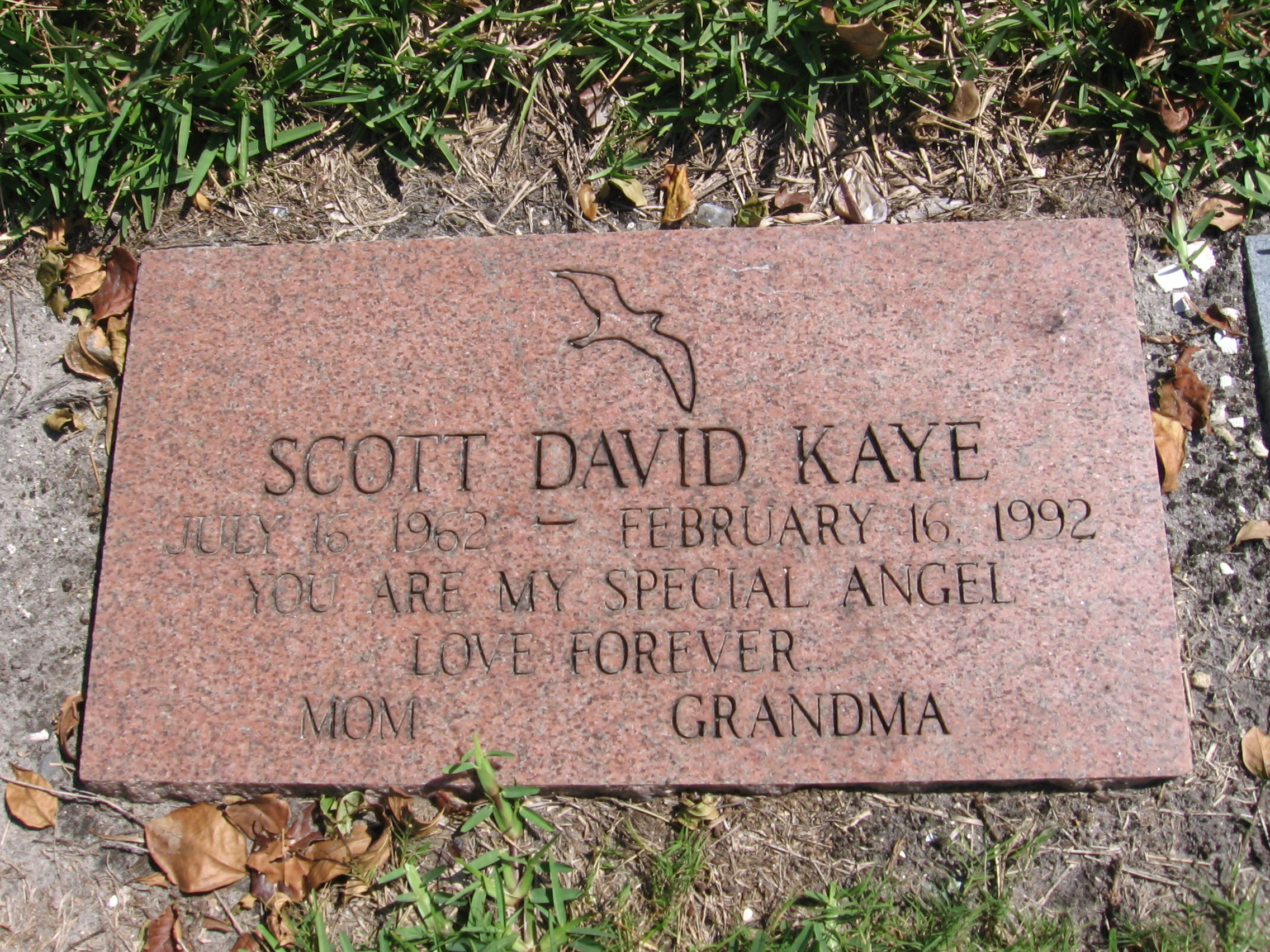Scott David Kaye