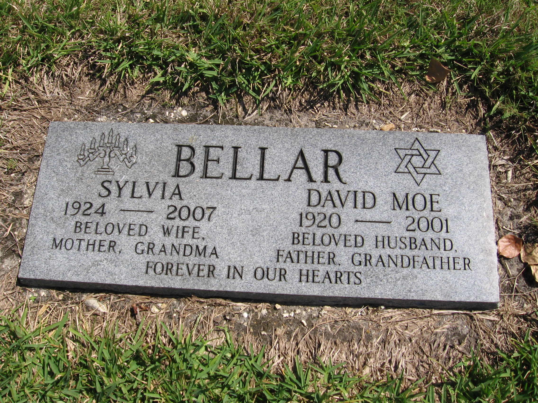 David Moe Bellar