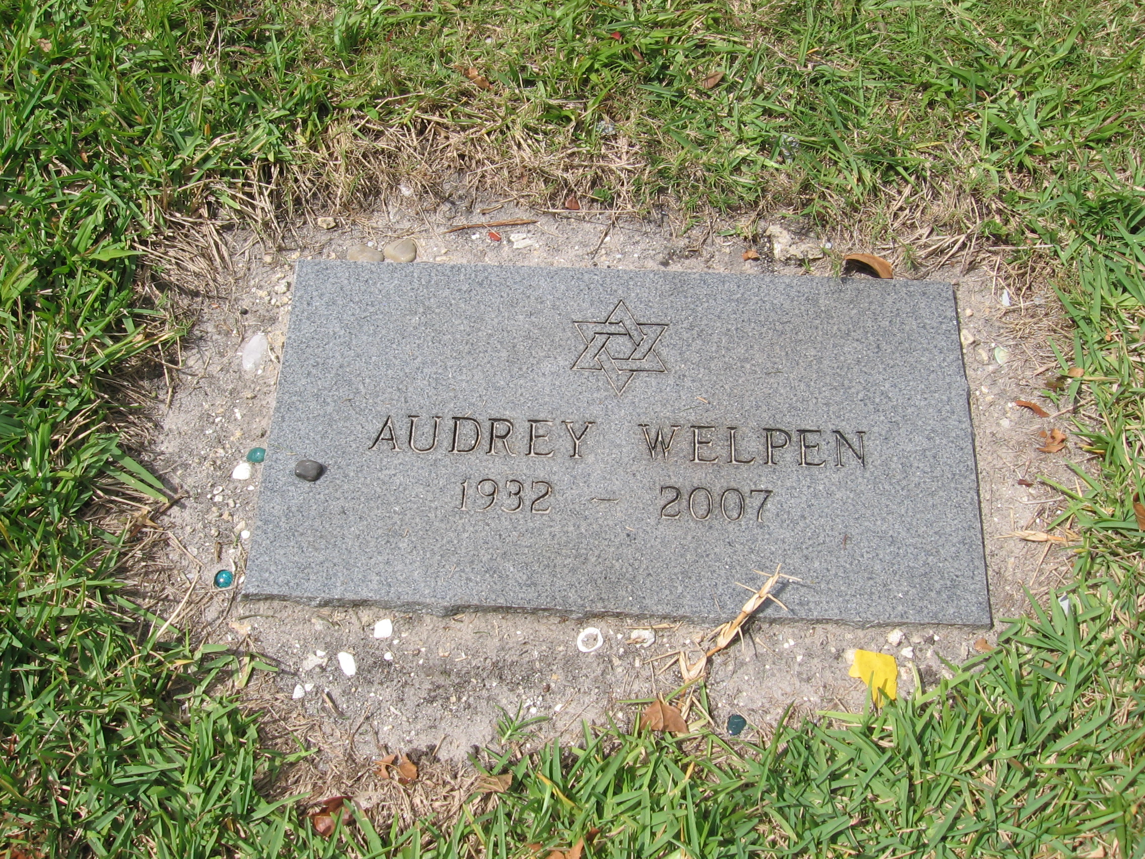 Audrey Welpen