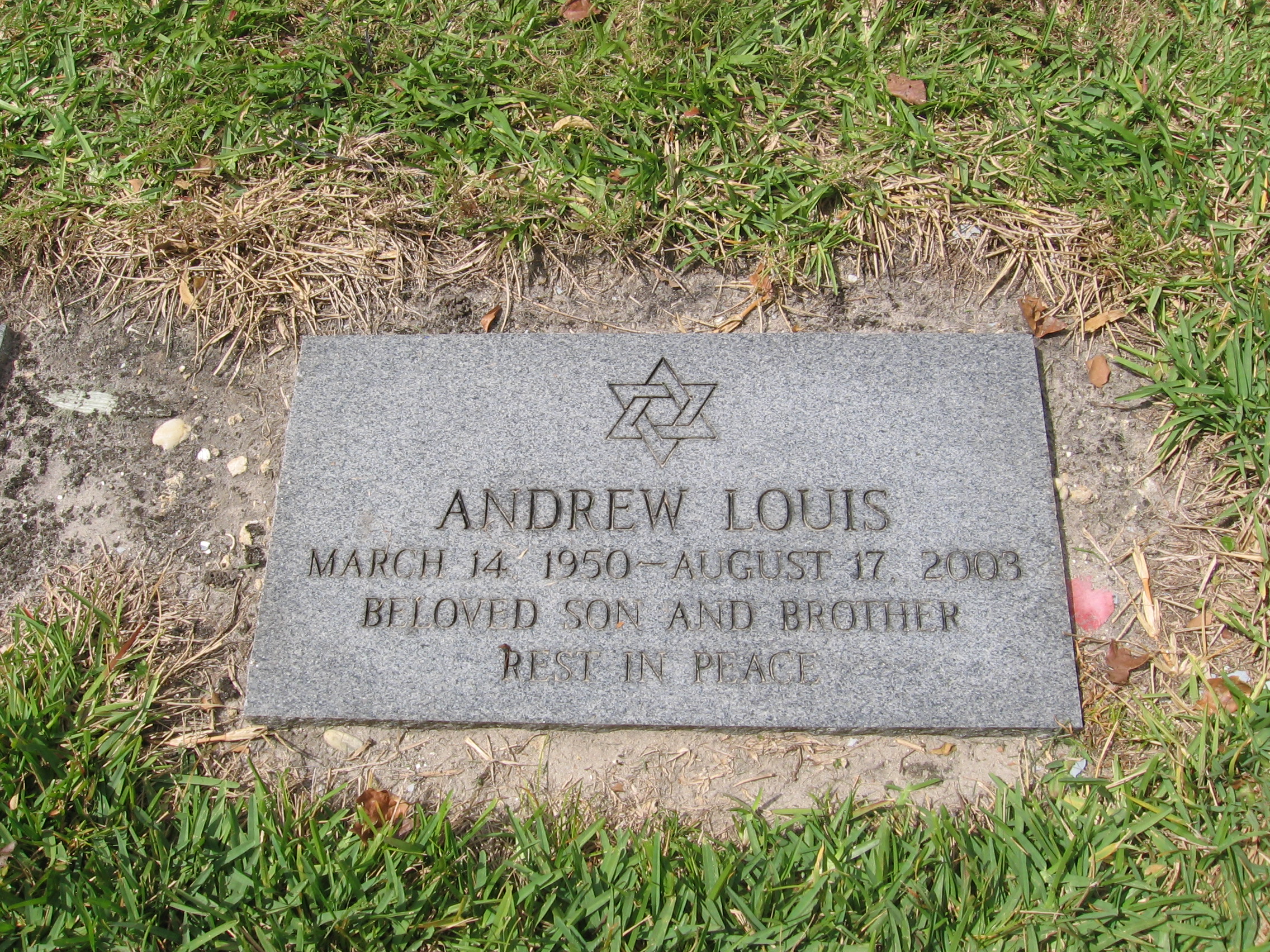 Andrew Louis