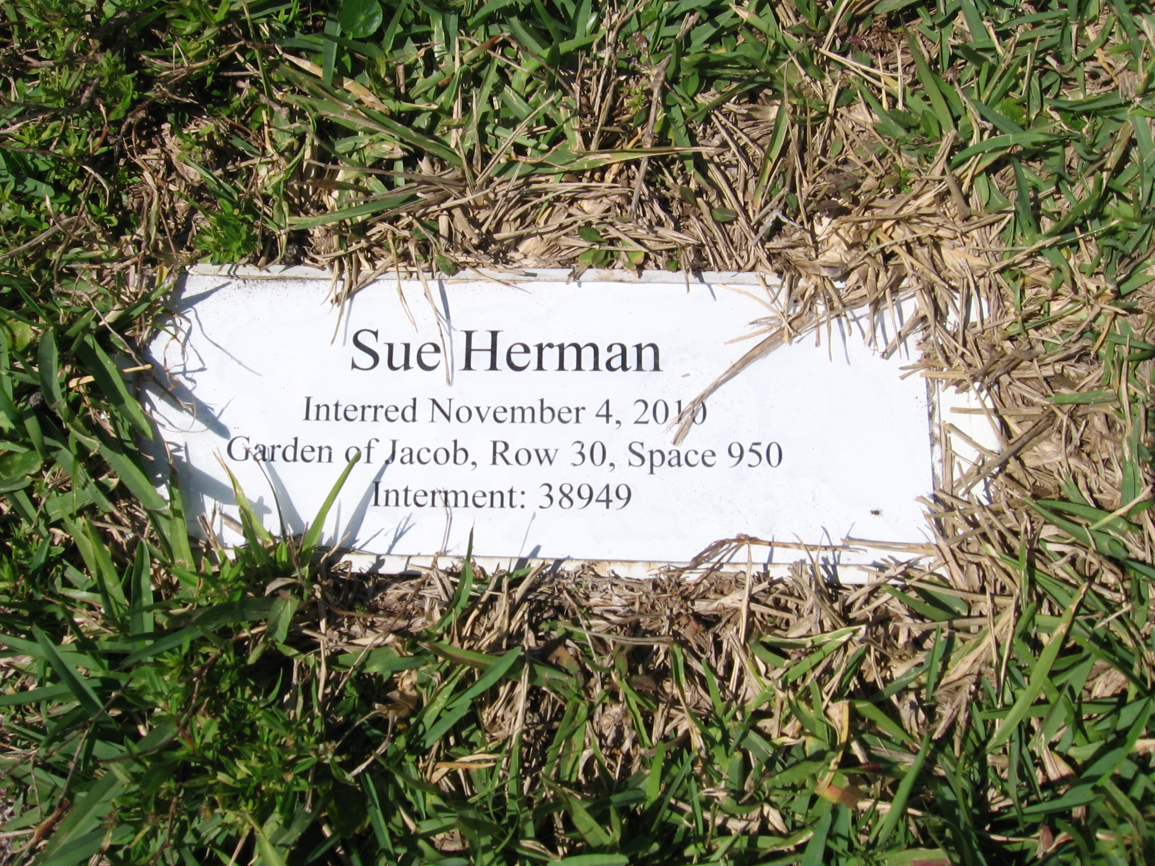 Sue Herman