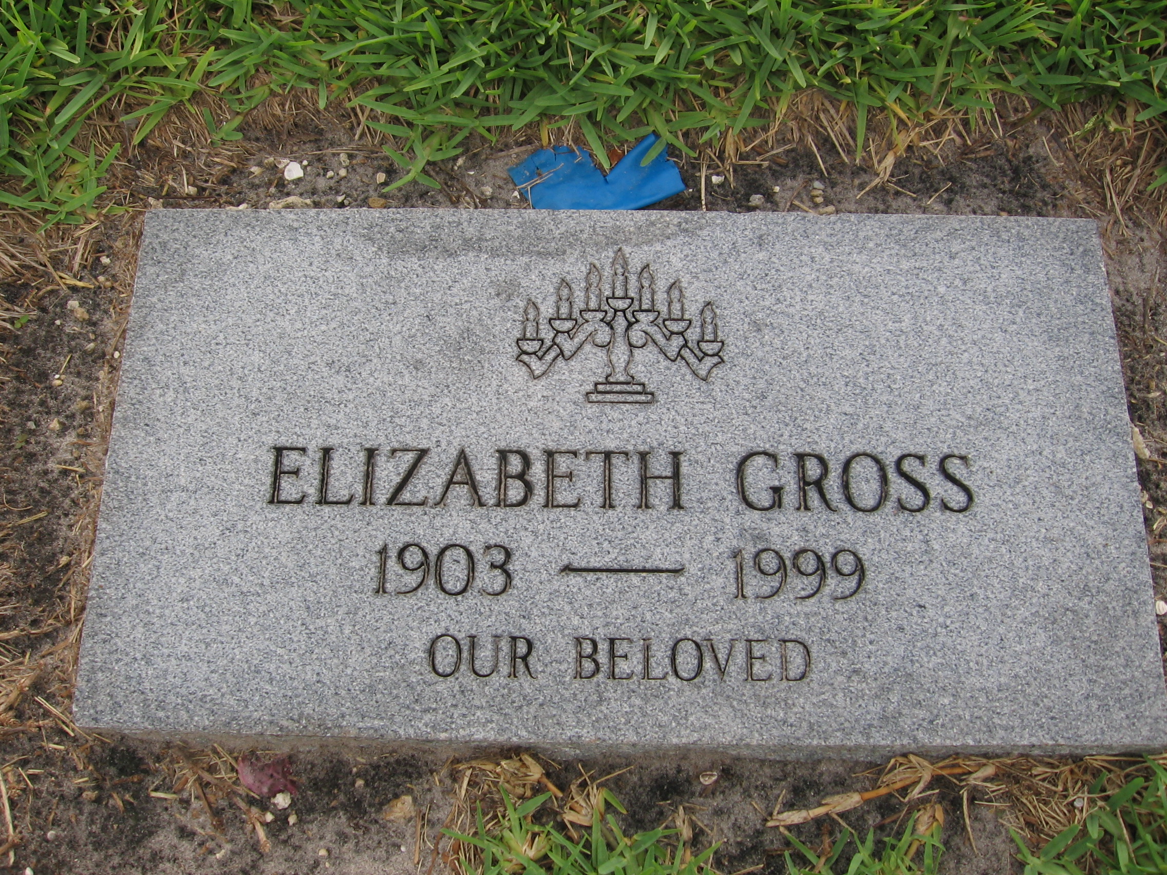 Elizabeth Gross