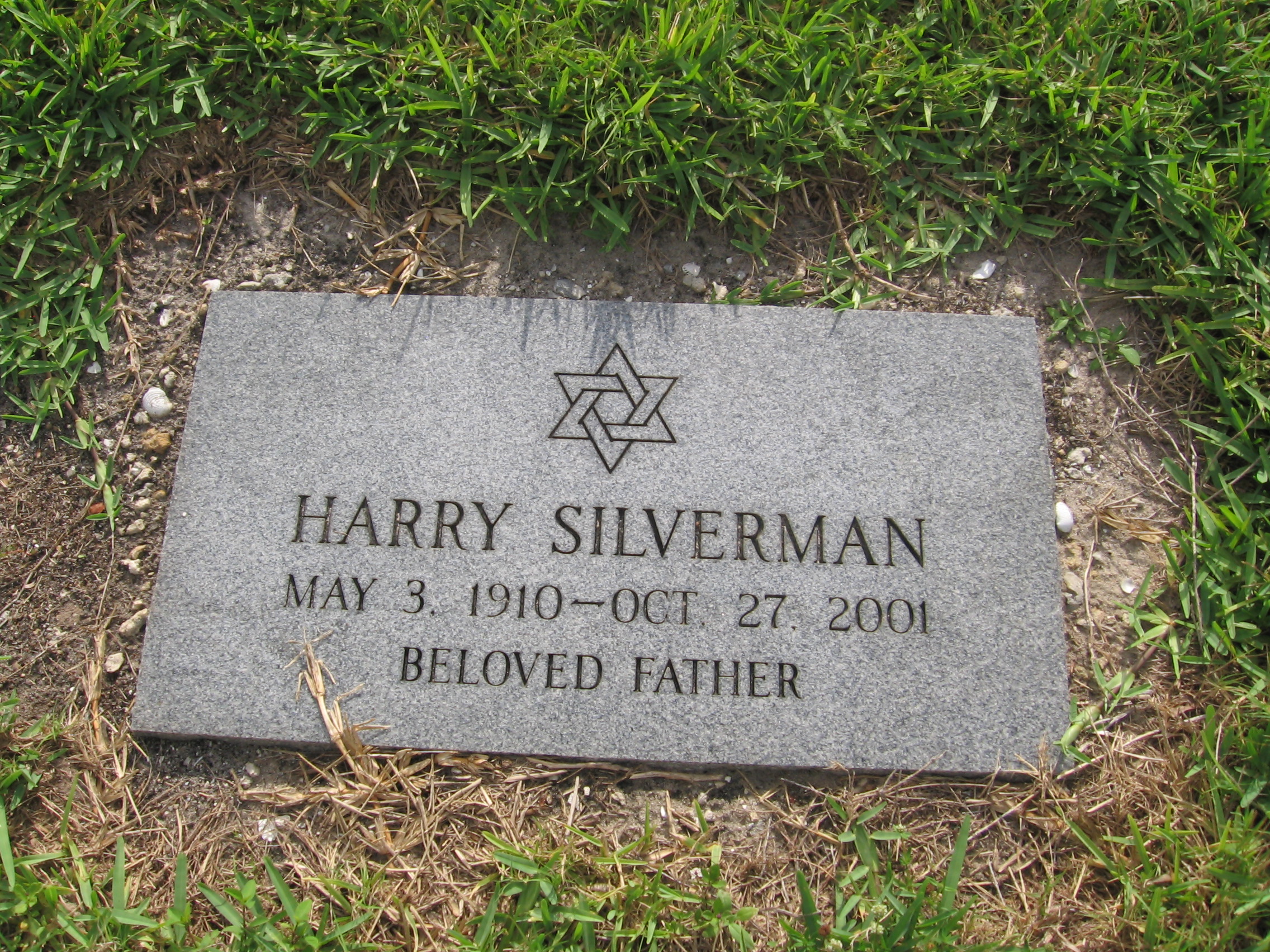 Harry Silverman