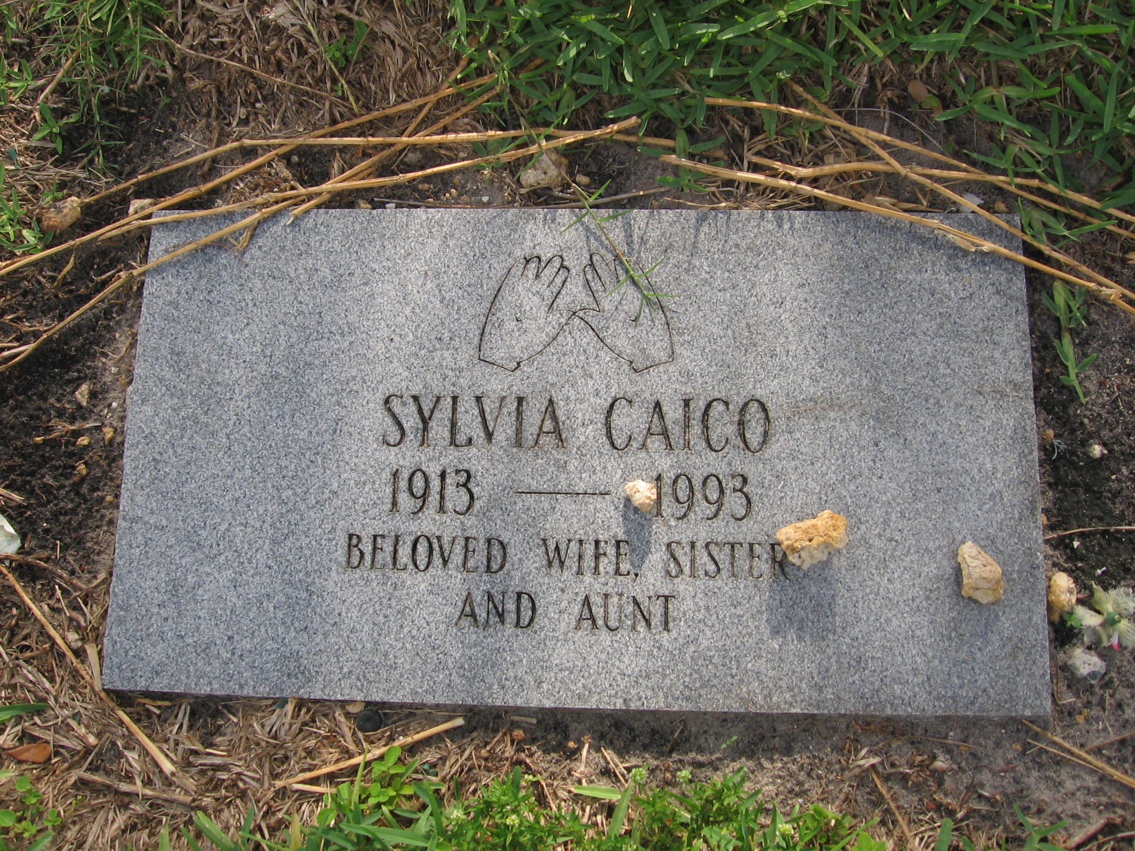 Sylvia Caico