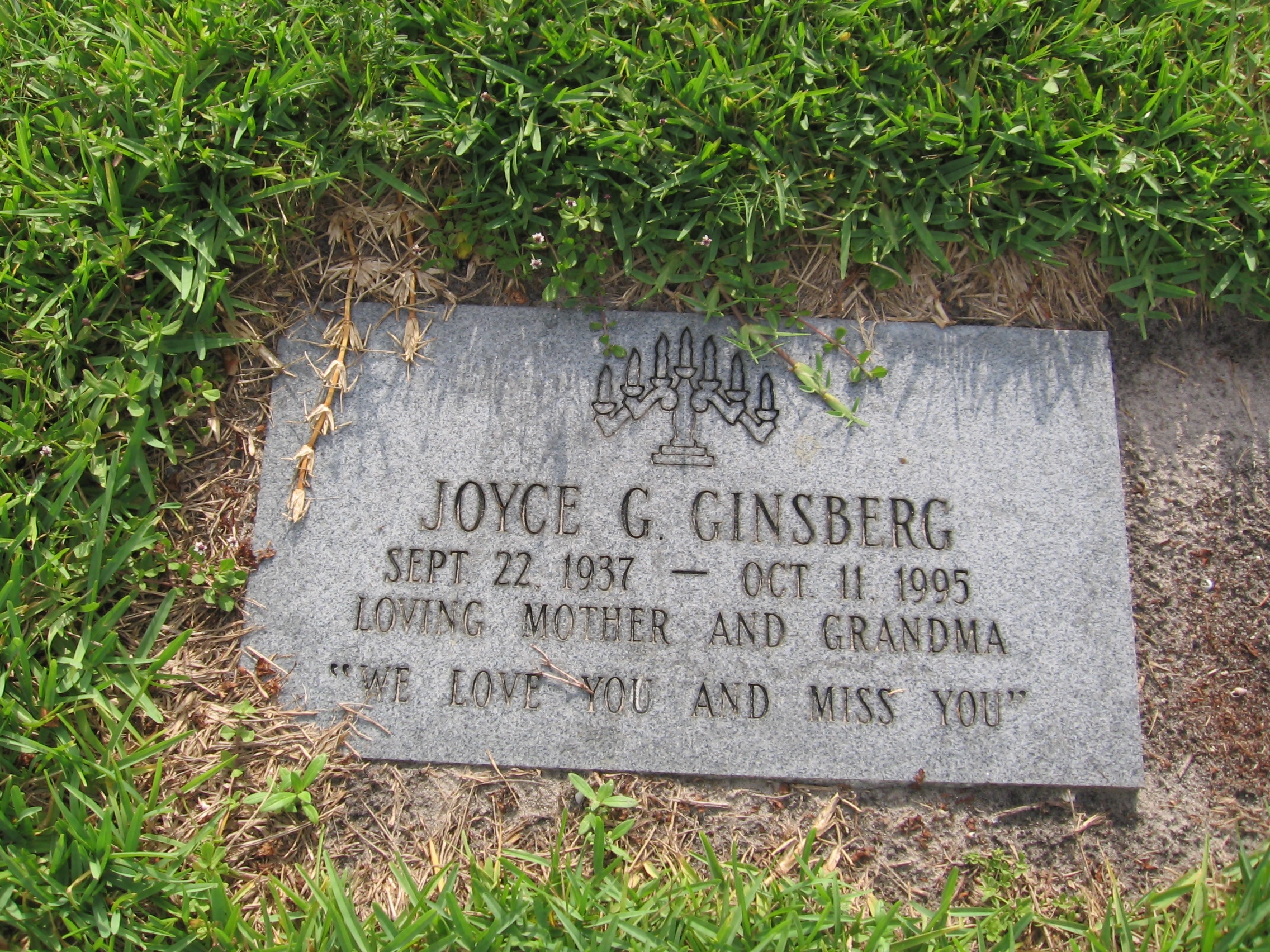 Joyce G Ginsberg