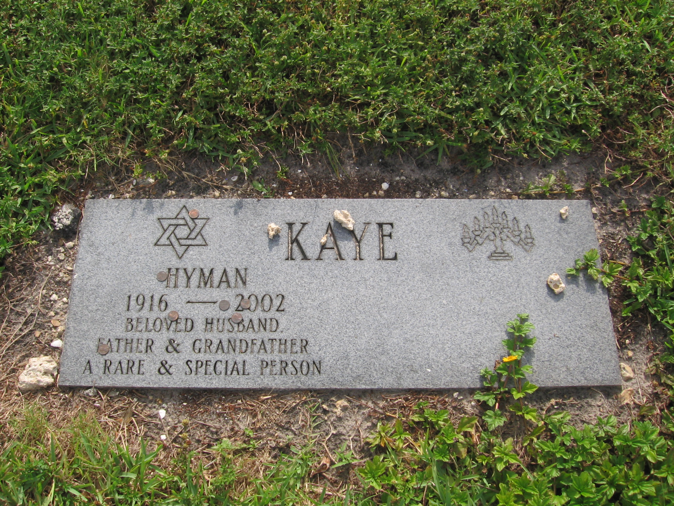 Hyman Kaye
