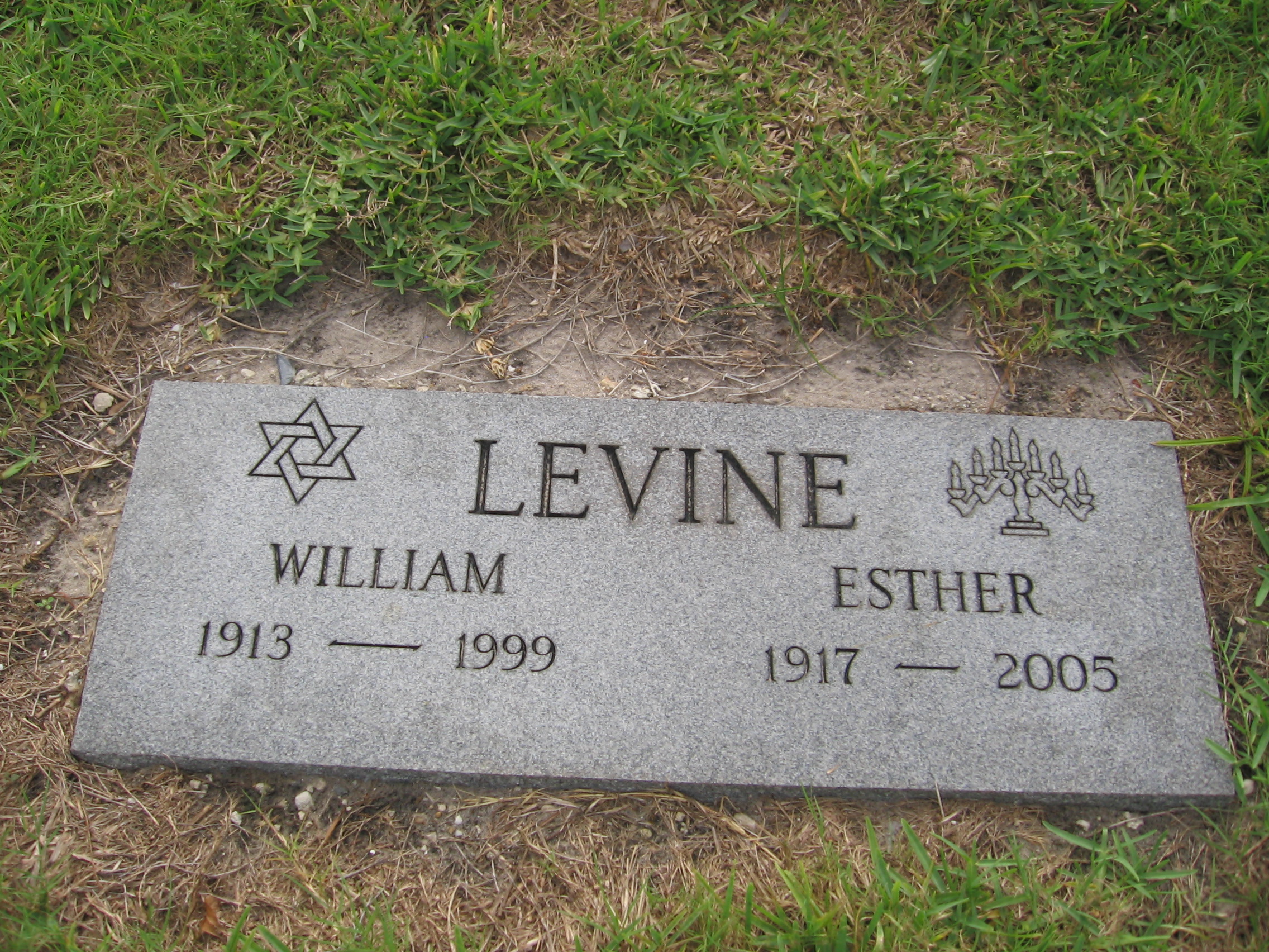 Esther Levine