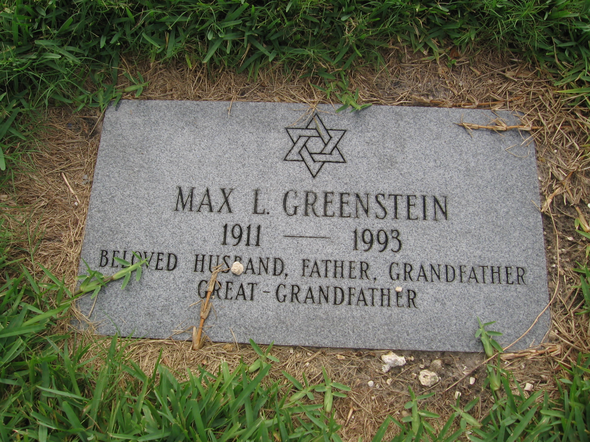 Max L Greenstein