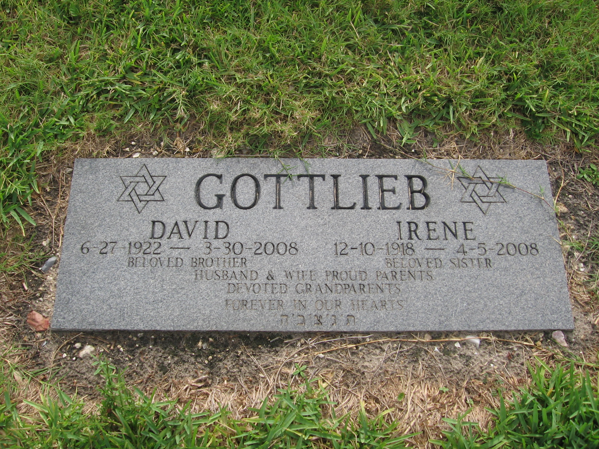 David Gottlieb