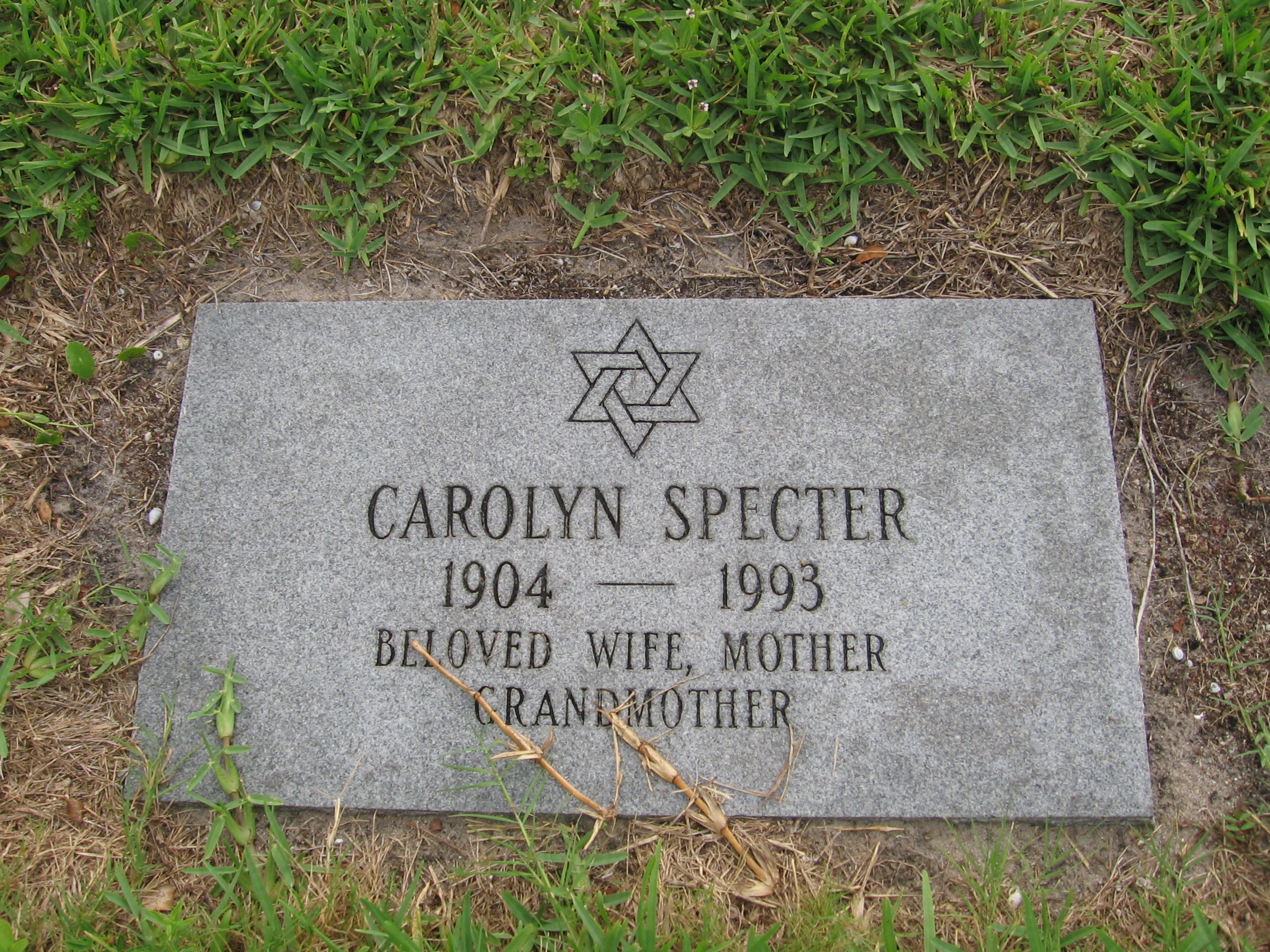 Carolyn Specter