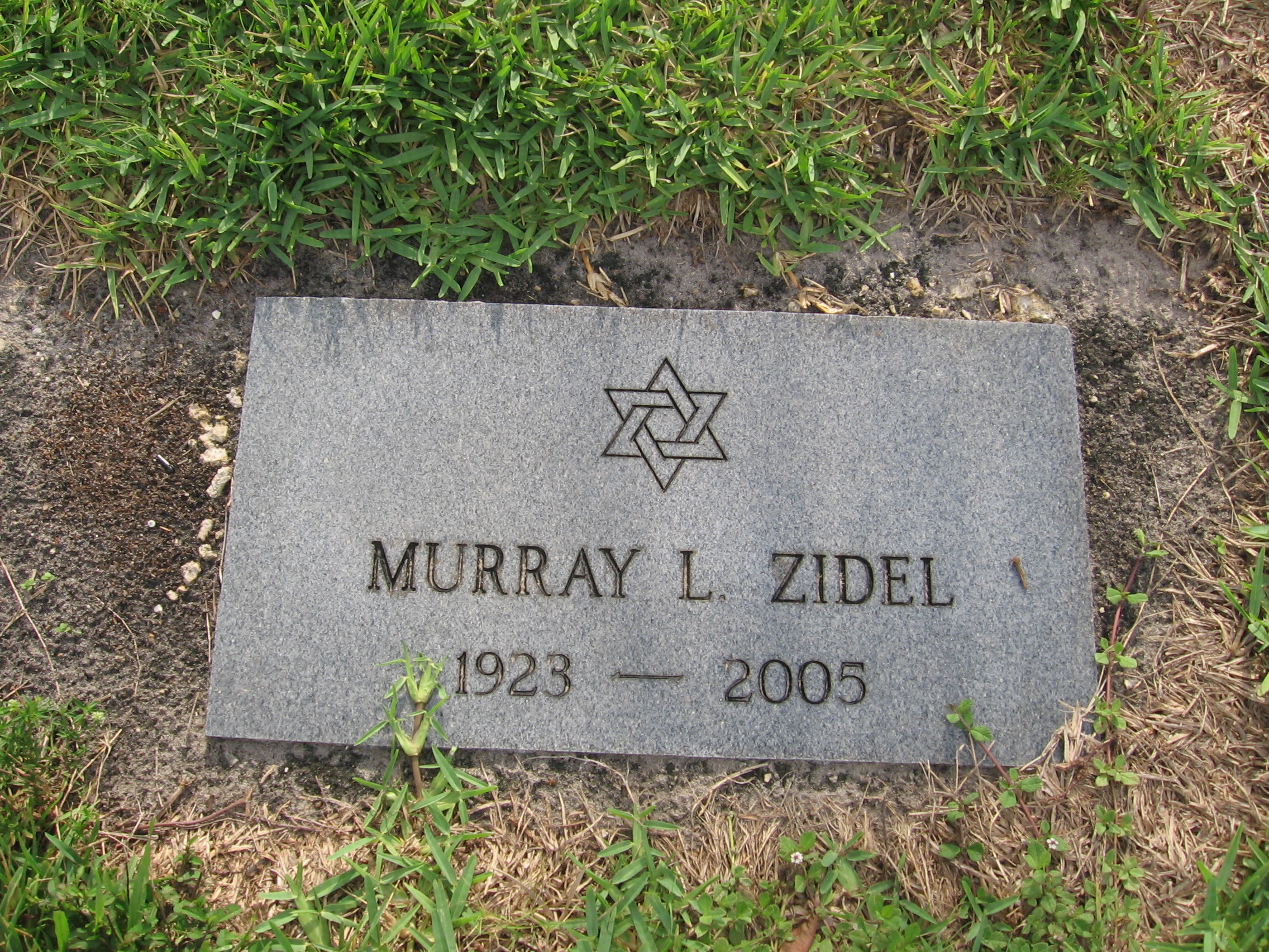 Murray L Zidel