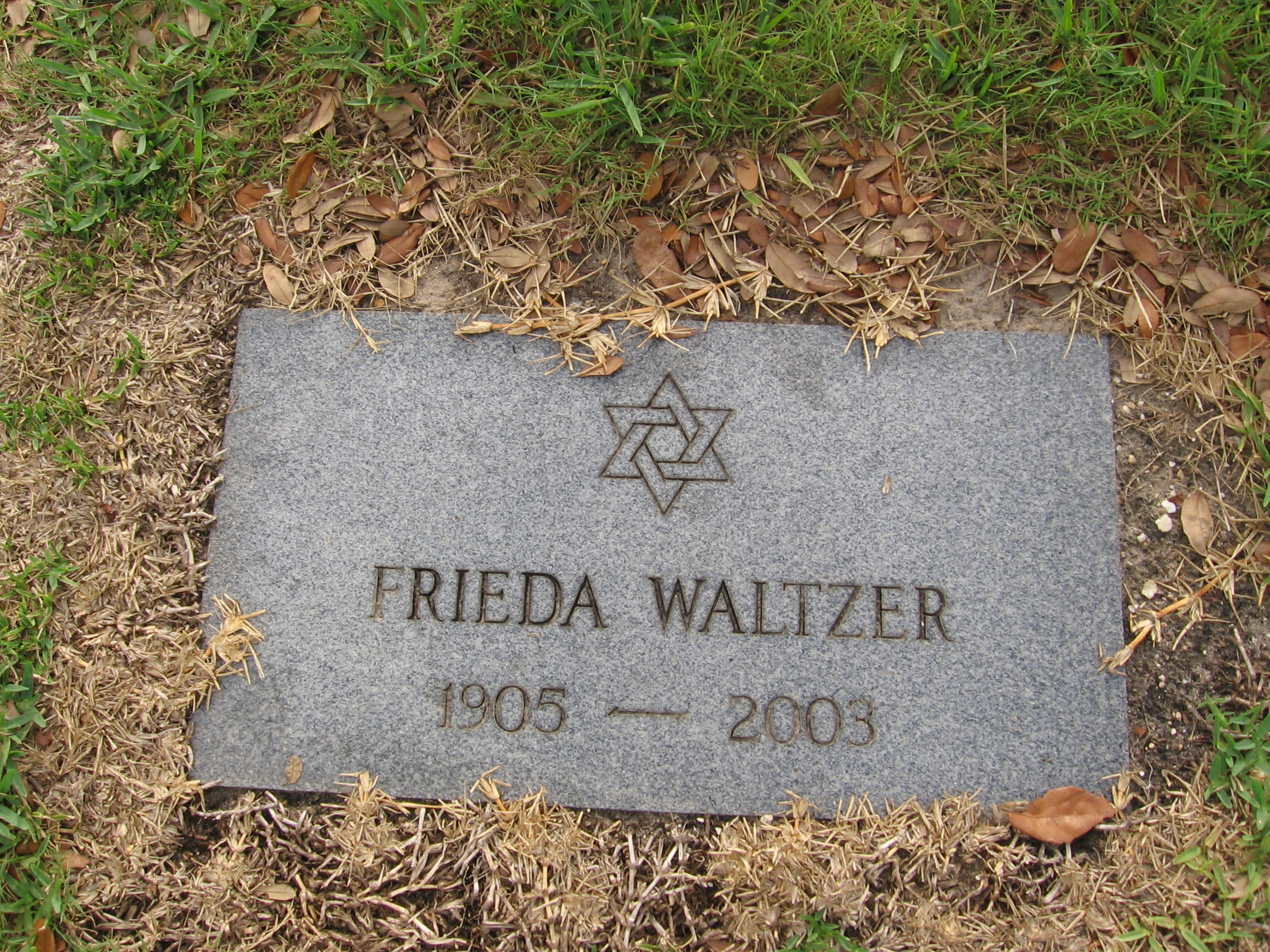 Frieda Waltzer
