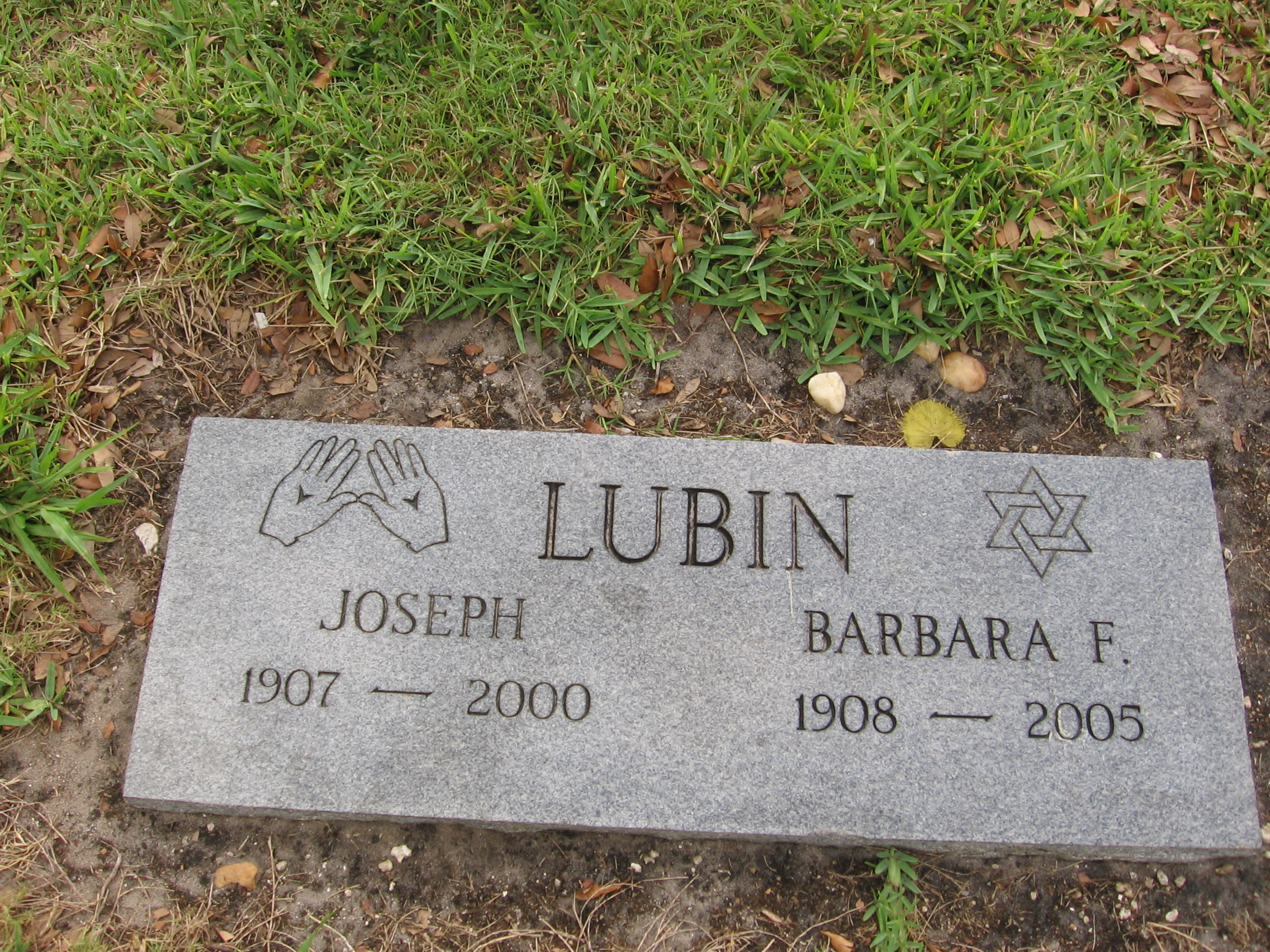 Barbara F Lubin