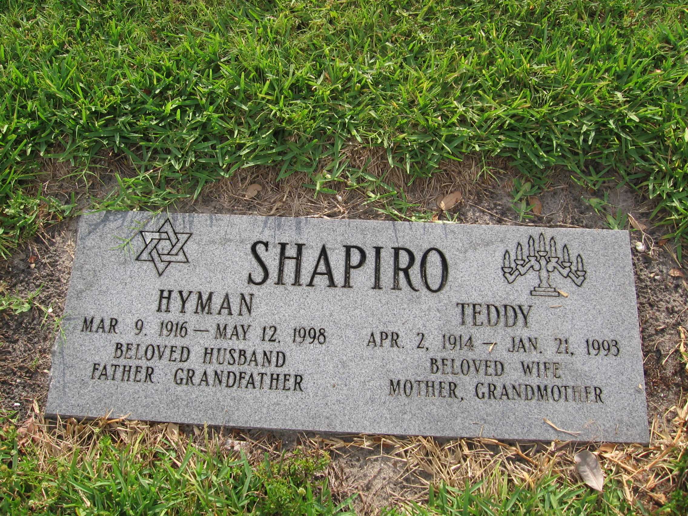 Teddy Shapiro
