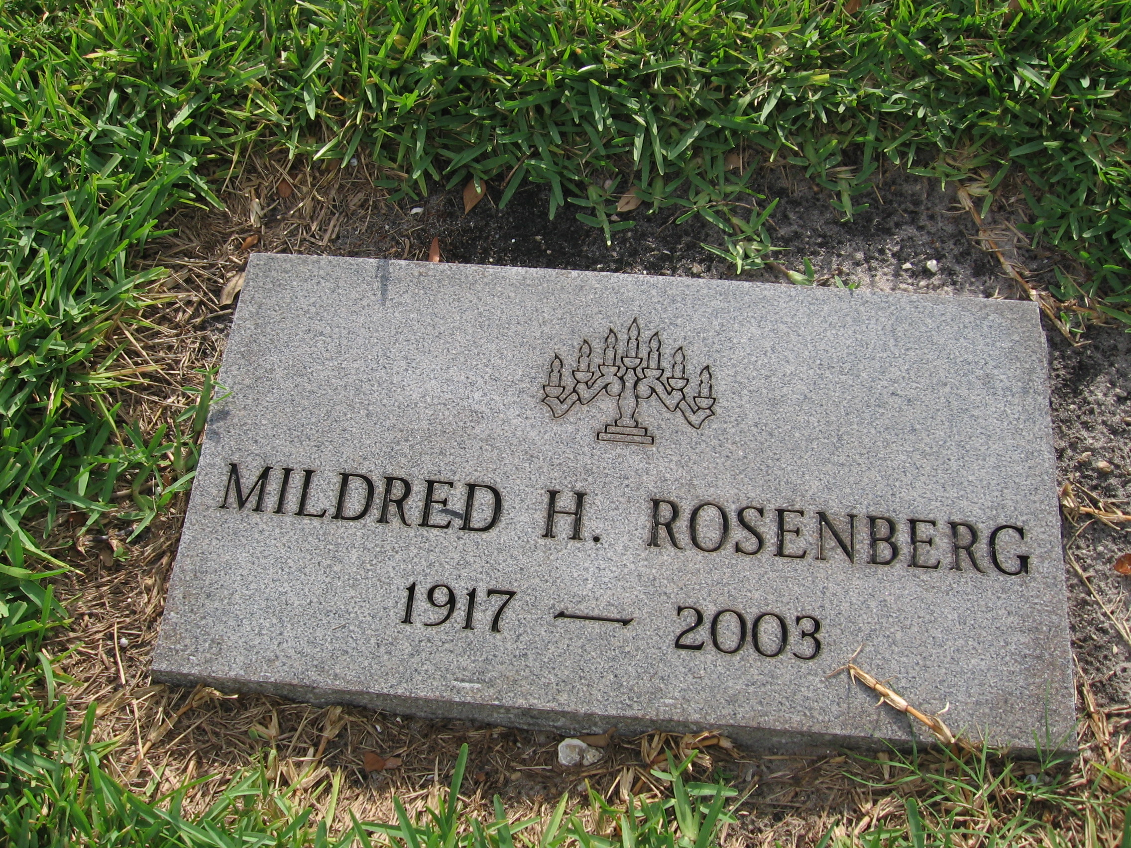 Mildred H Rosenberg