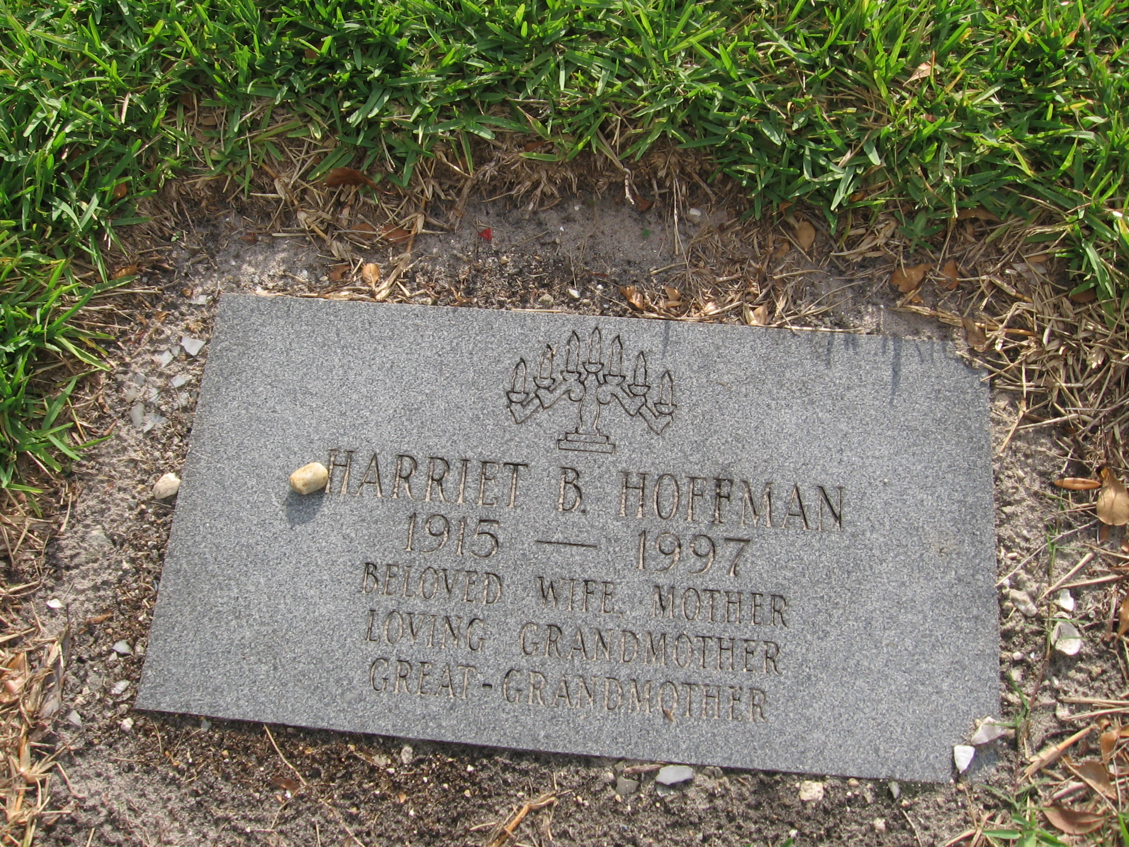 Harriet B Hoffman