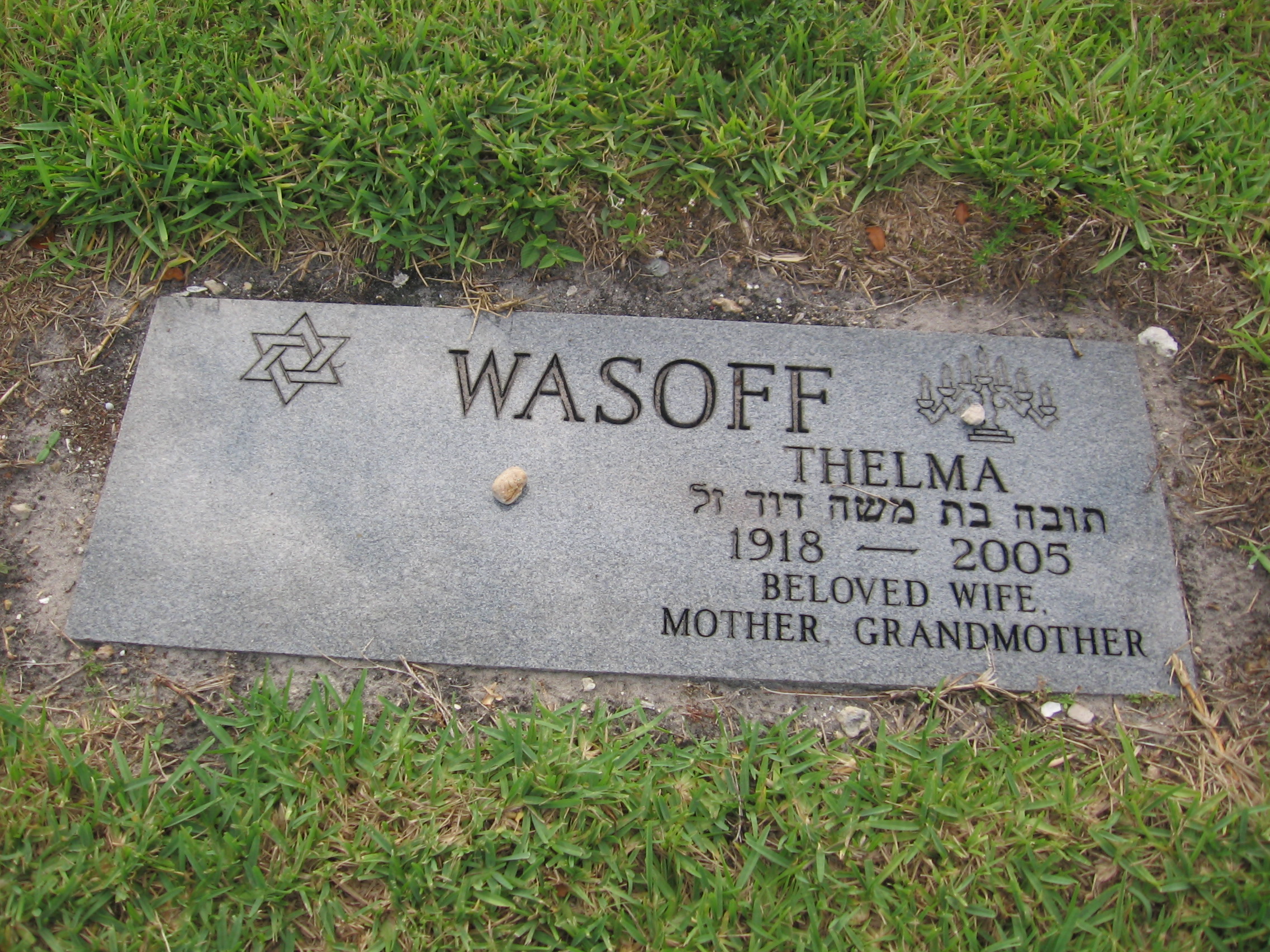 Thelma Wasoff