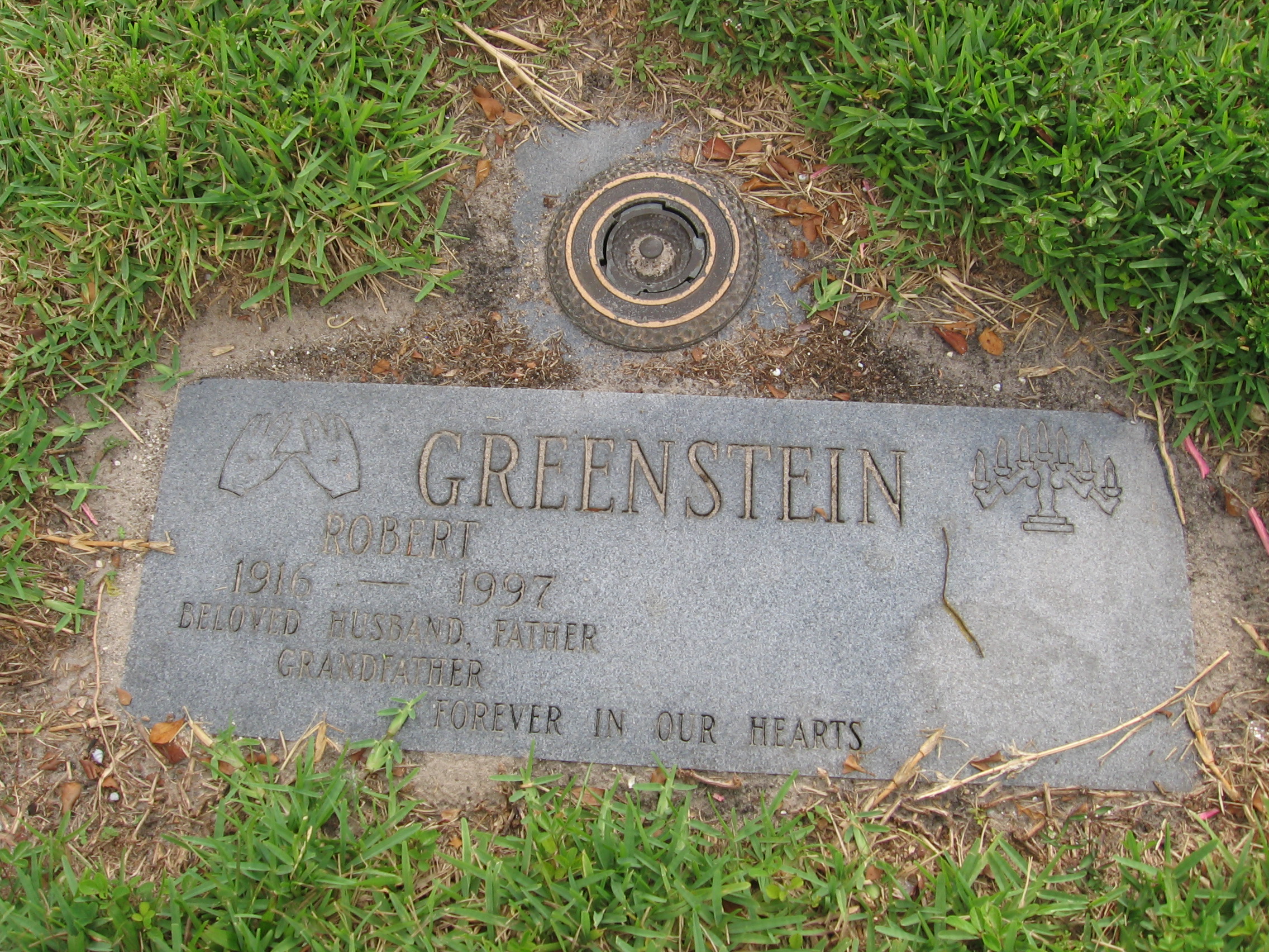 Robert Greenstein