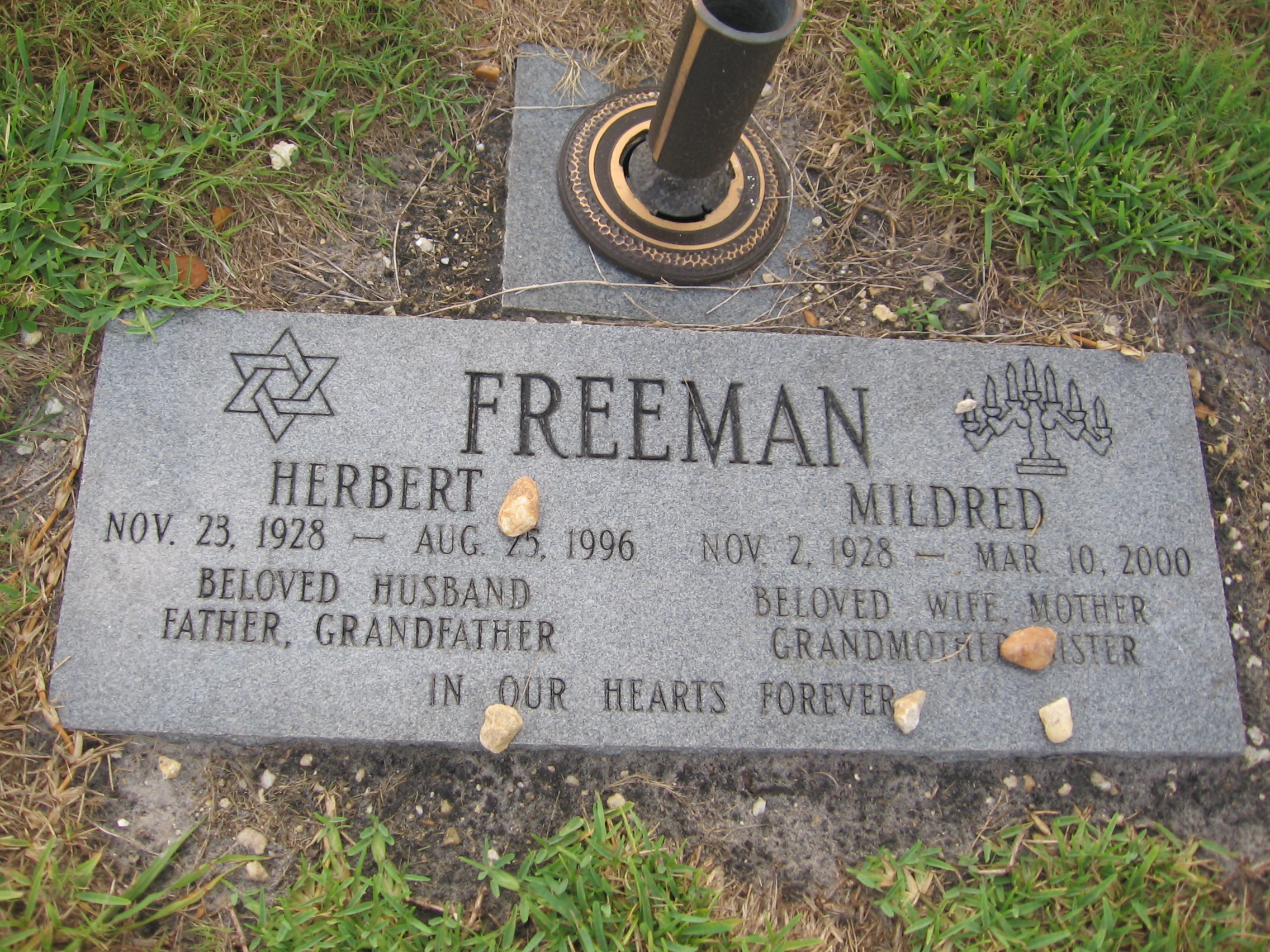 Herbert Freeman