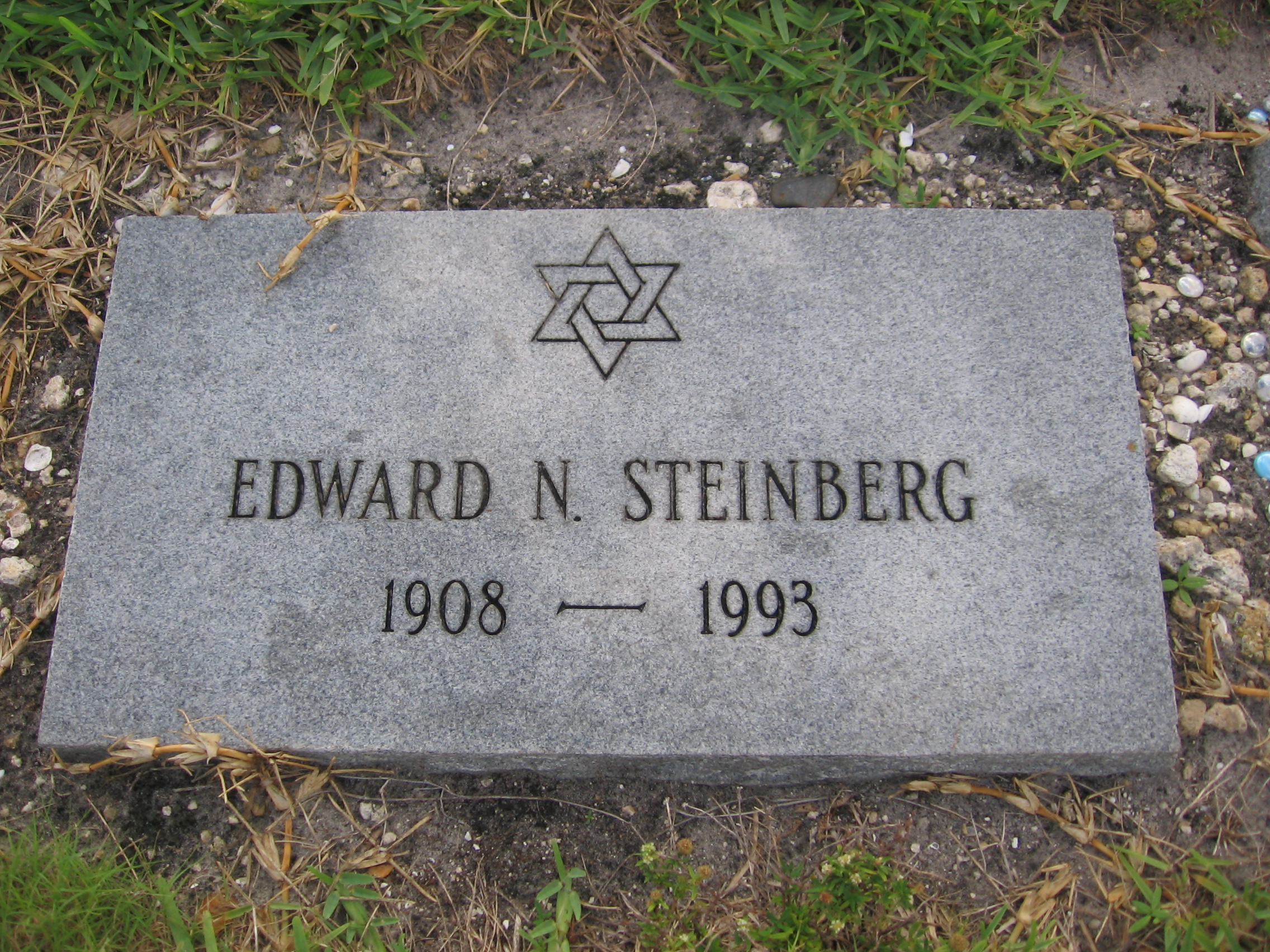 Edward N Steinberg