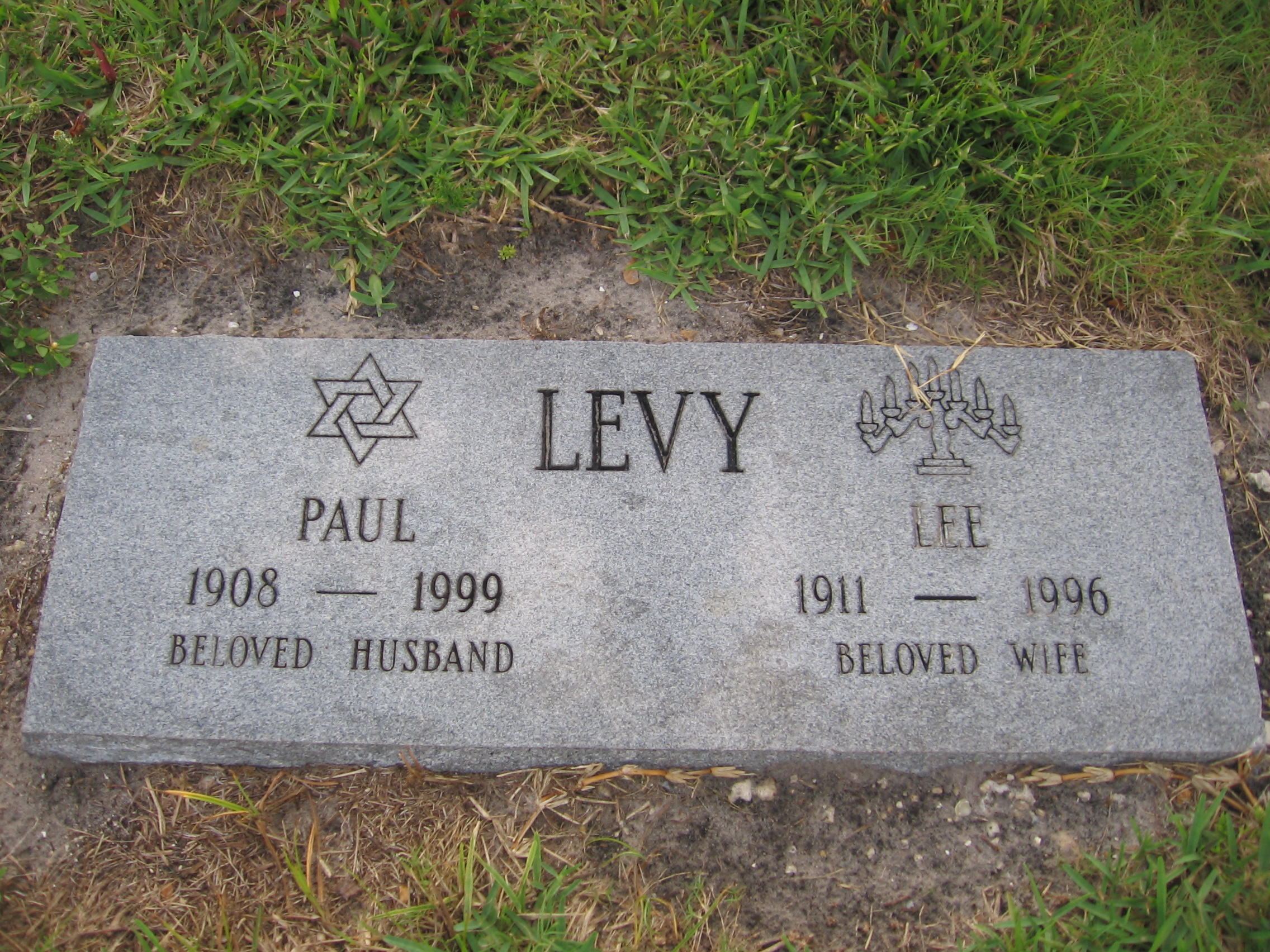 Lee Levy