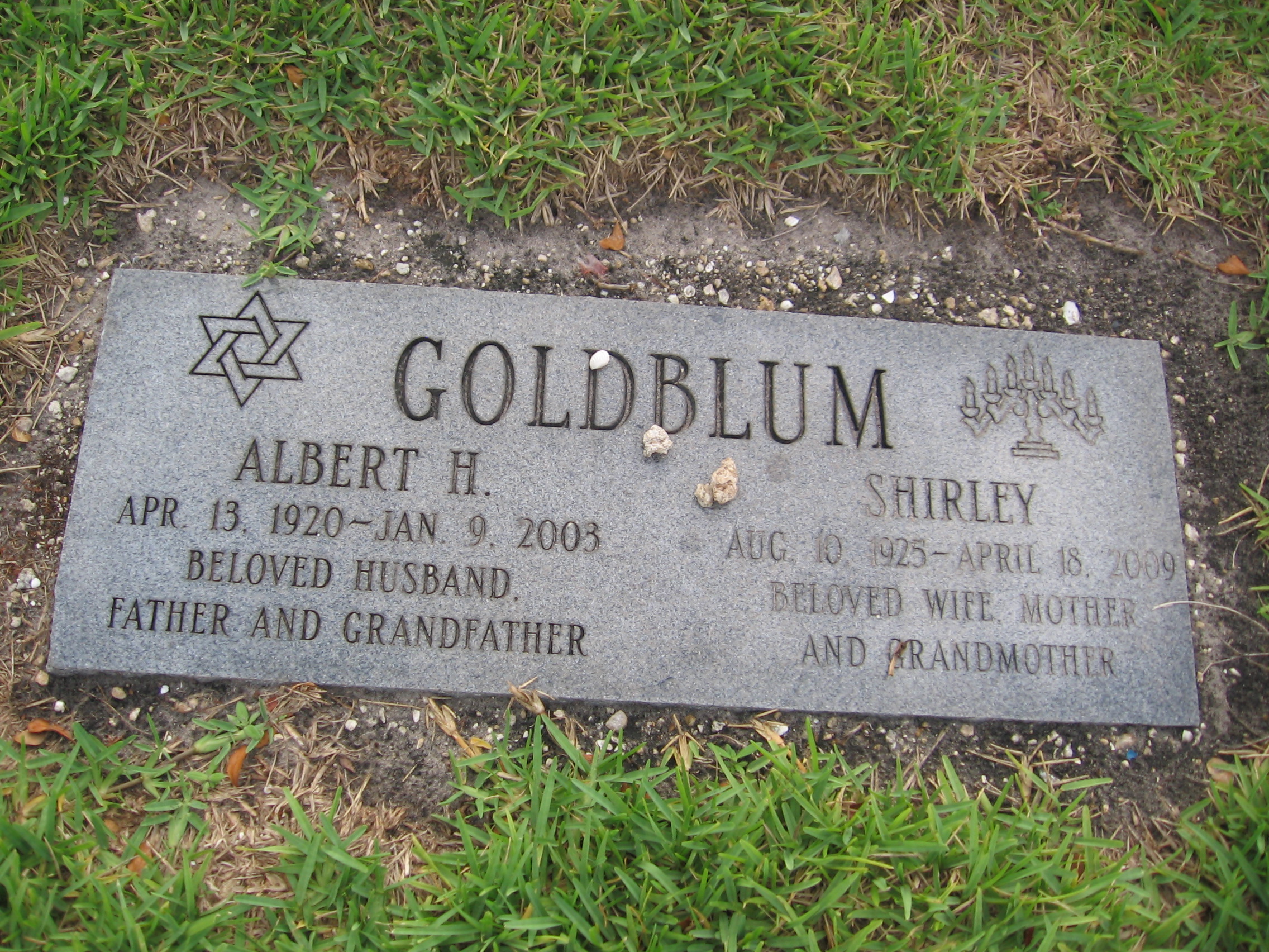 Albert H Goldblum