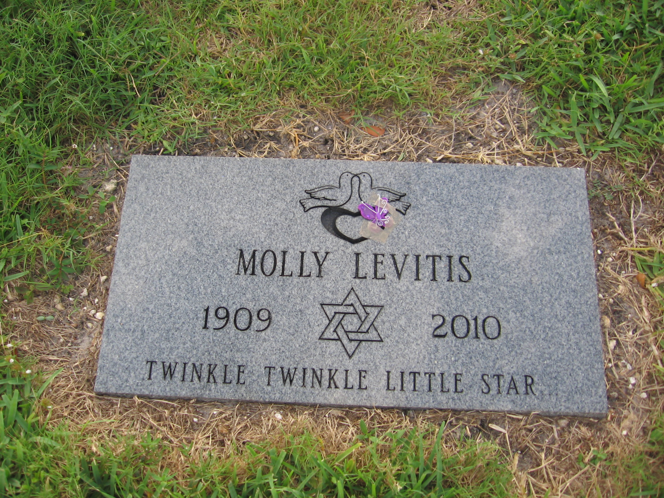 Molly Levitis