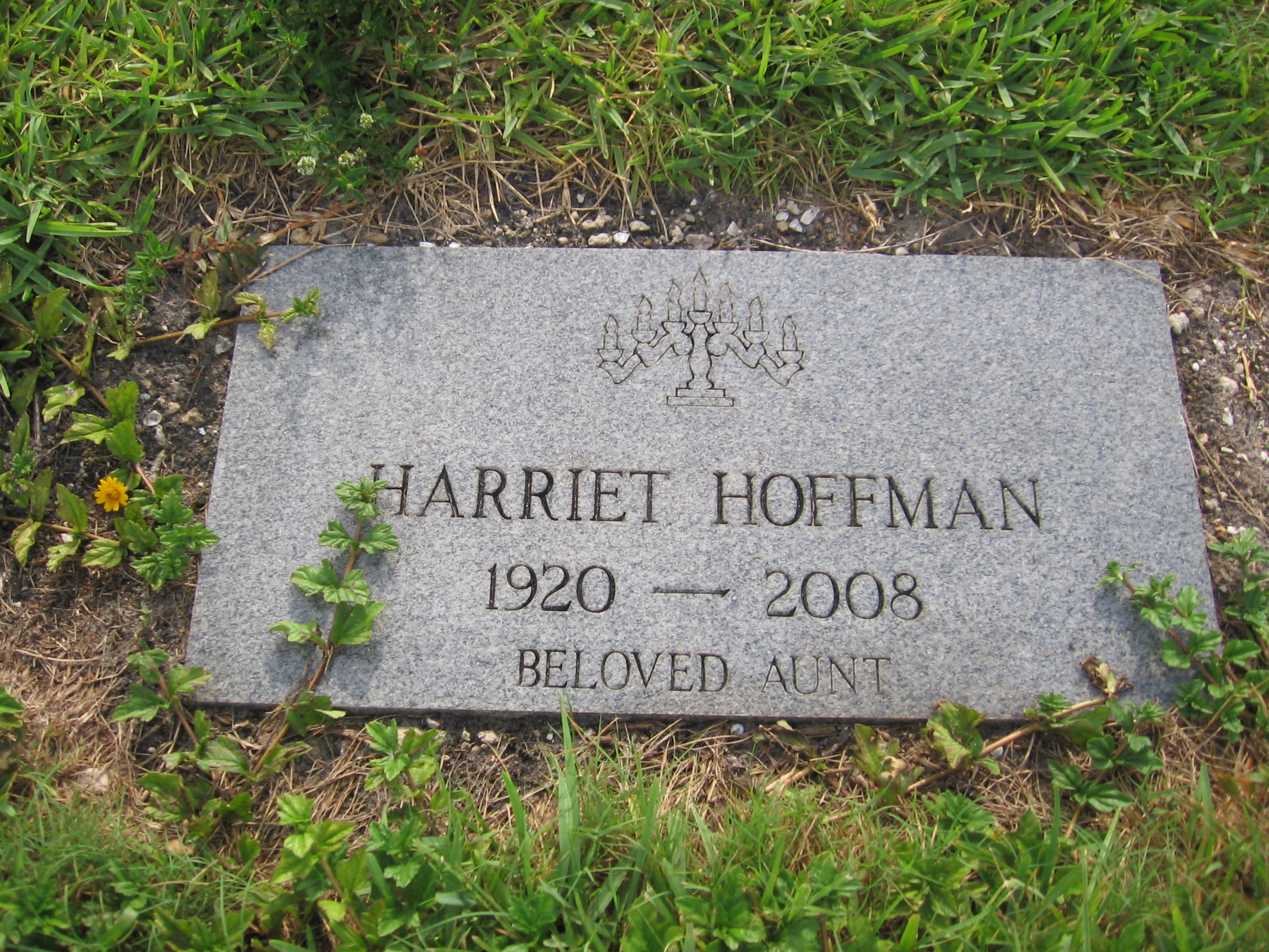 Harriet Hoffman